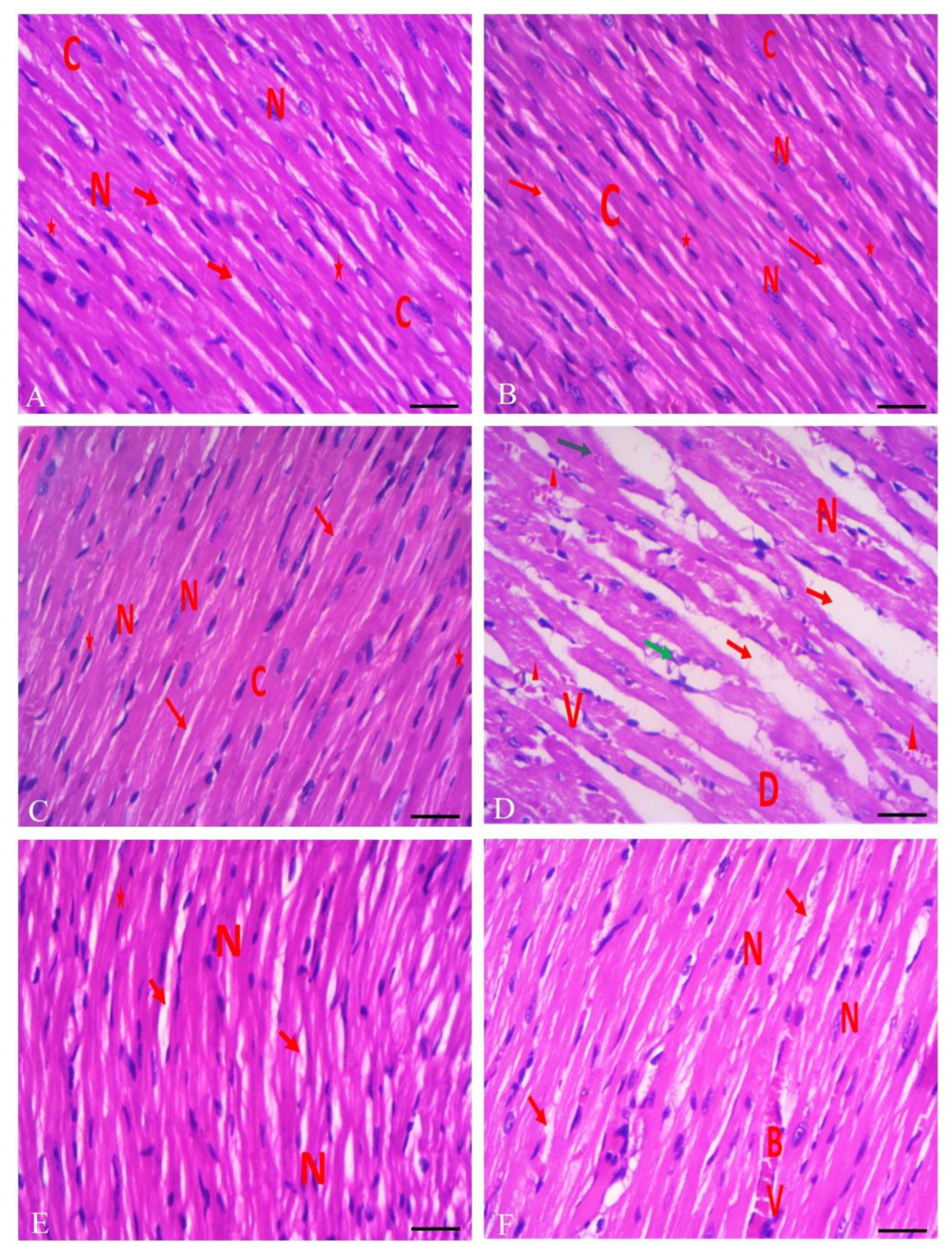 Toxics 11 00857 g005