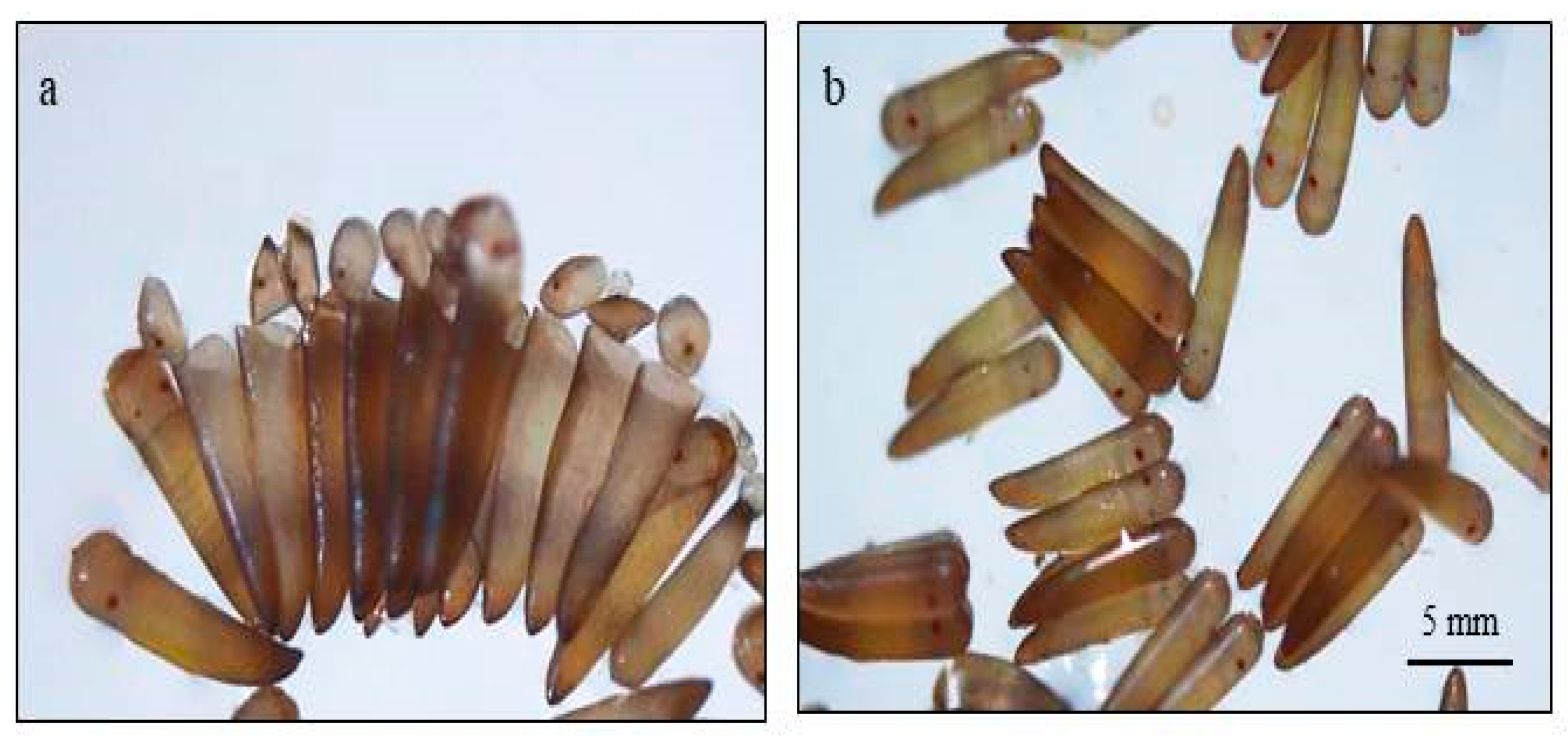 Toxics 11 00887 g002