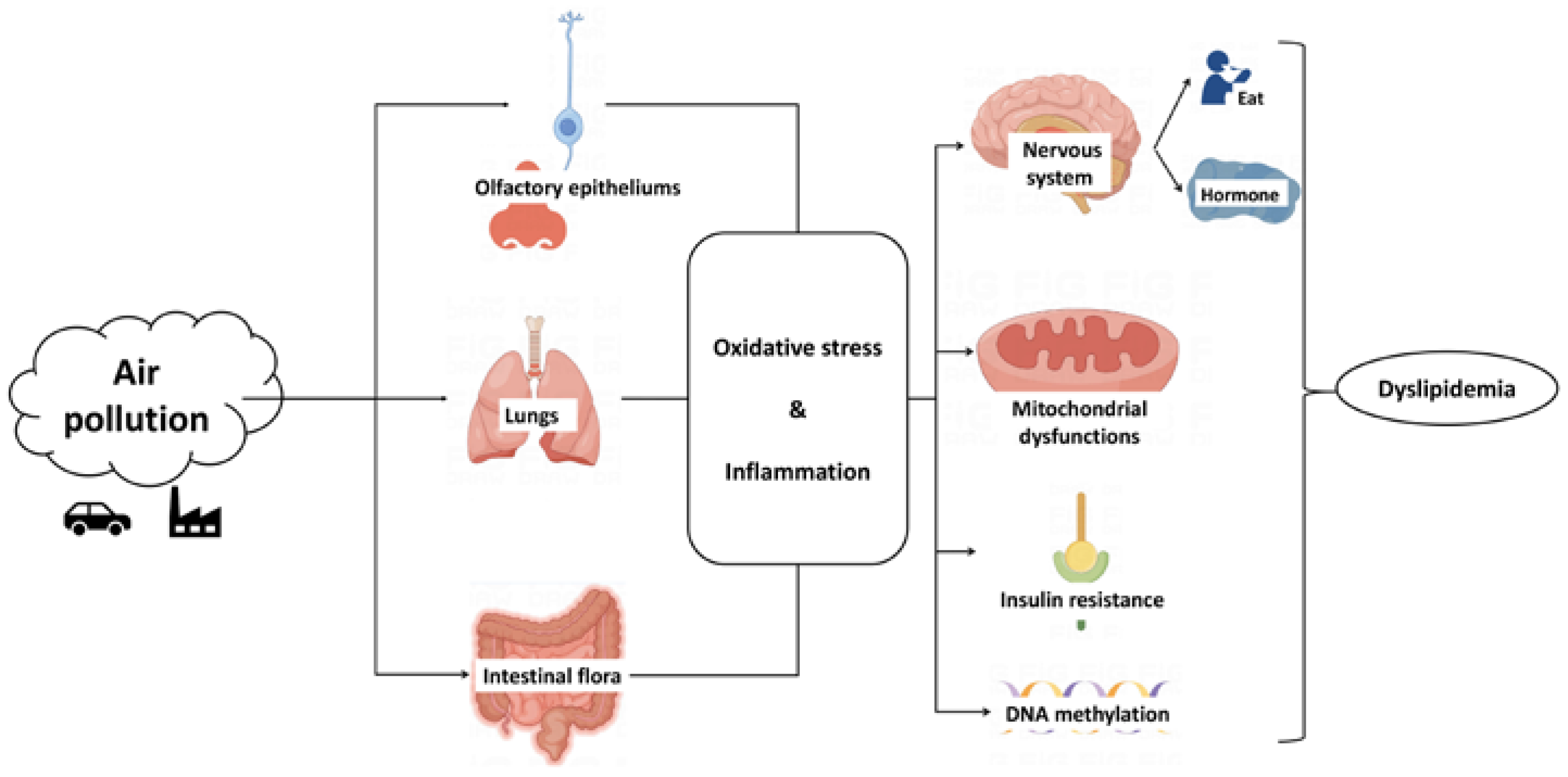 Toxics 11 00894 g001