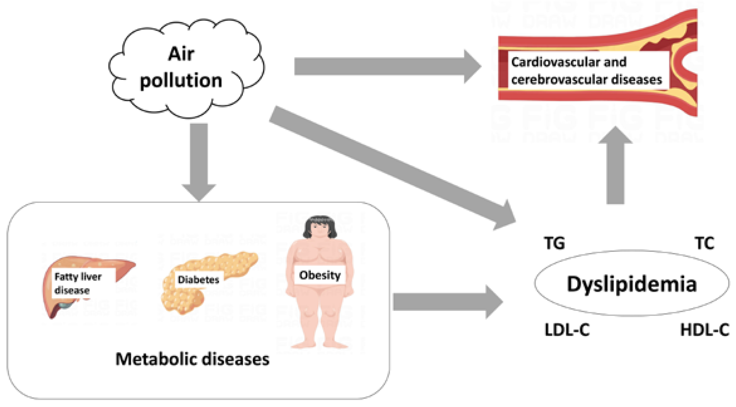Toxics 11 00894 g002