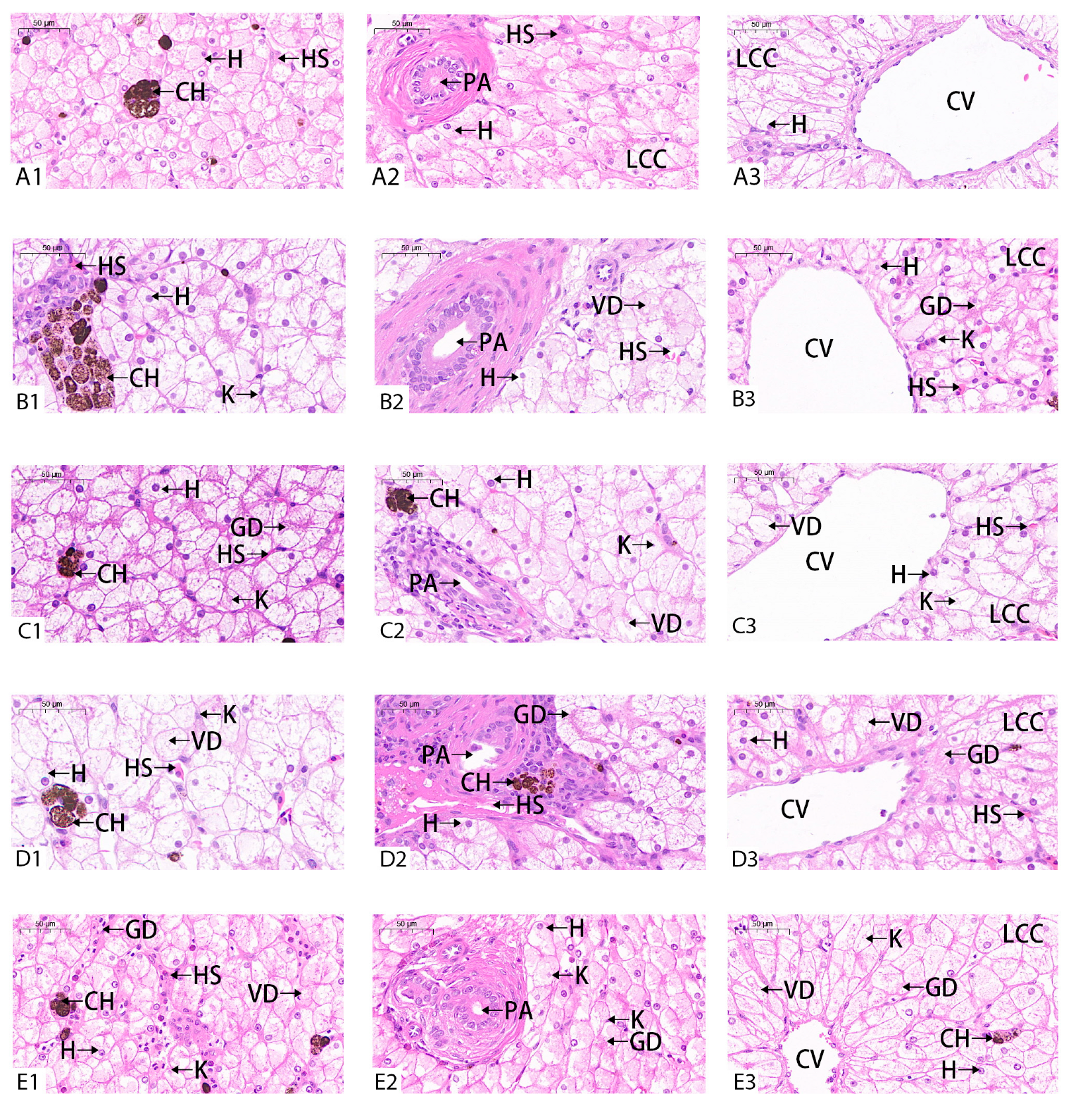 Toxics 11 00915 g005
