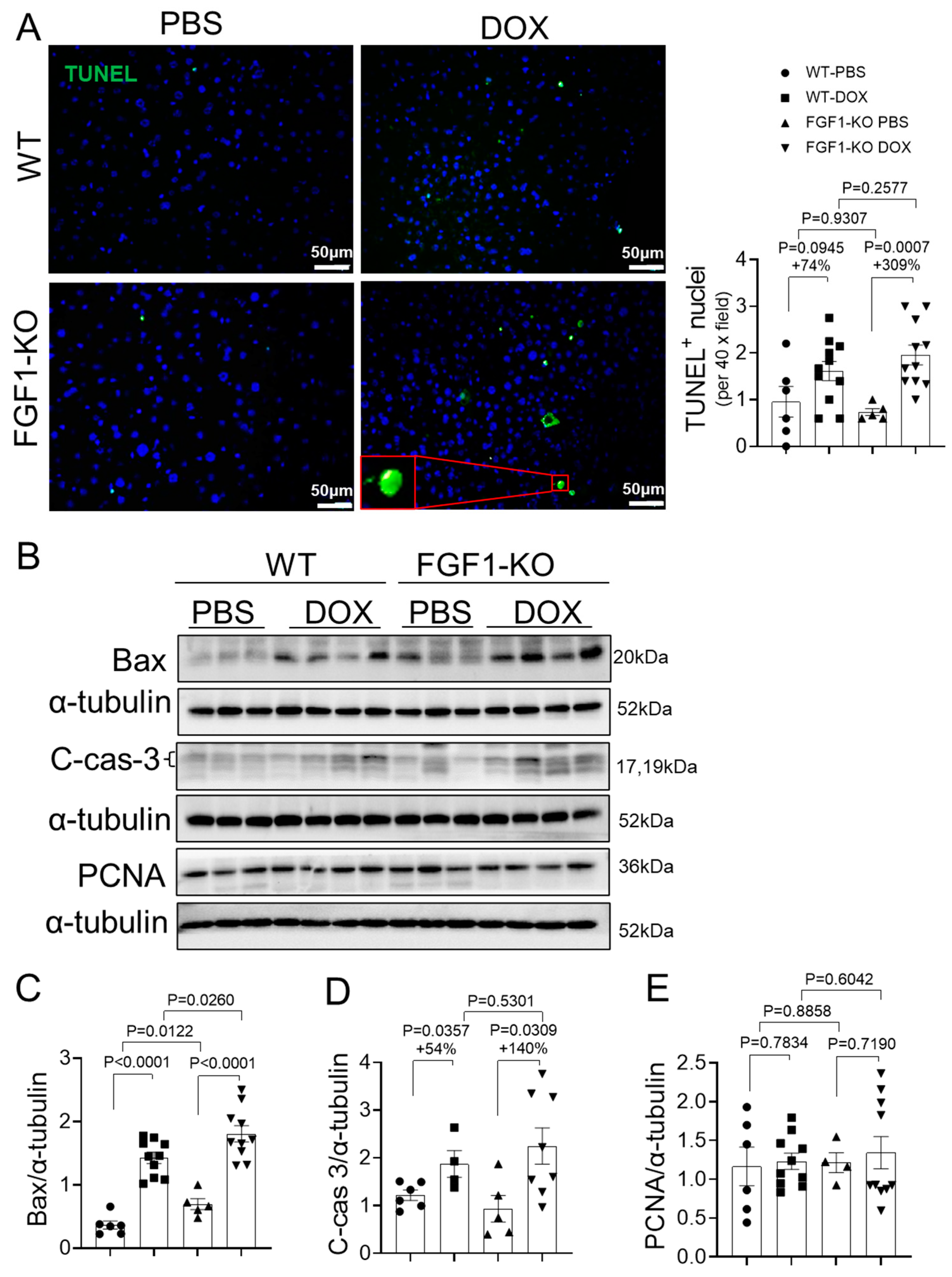 Toxics 11 00925 g003
