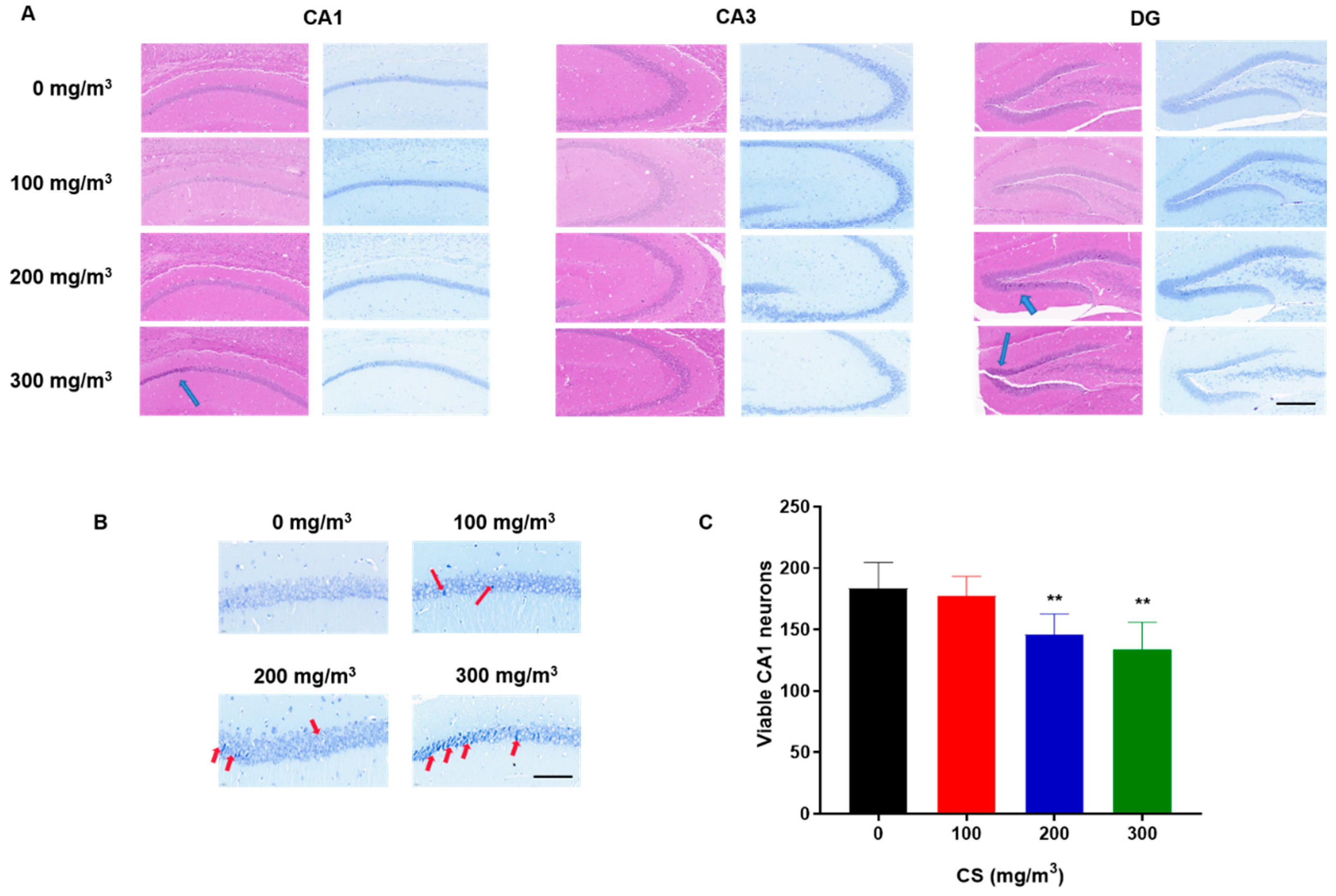 Toxics 11 00969 g002