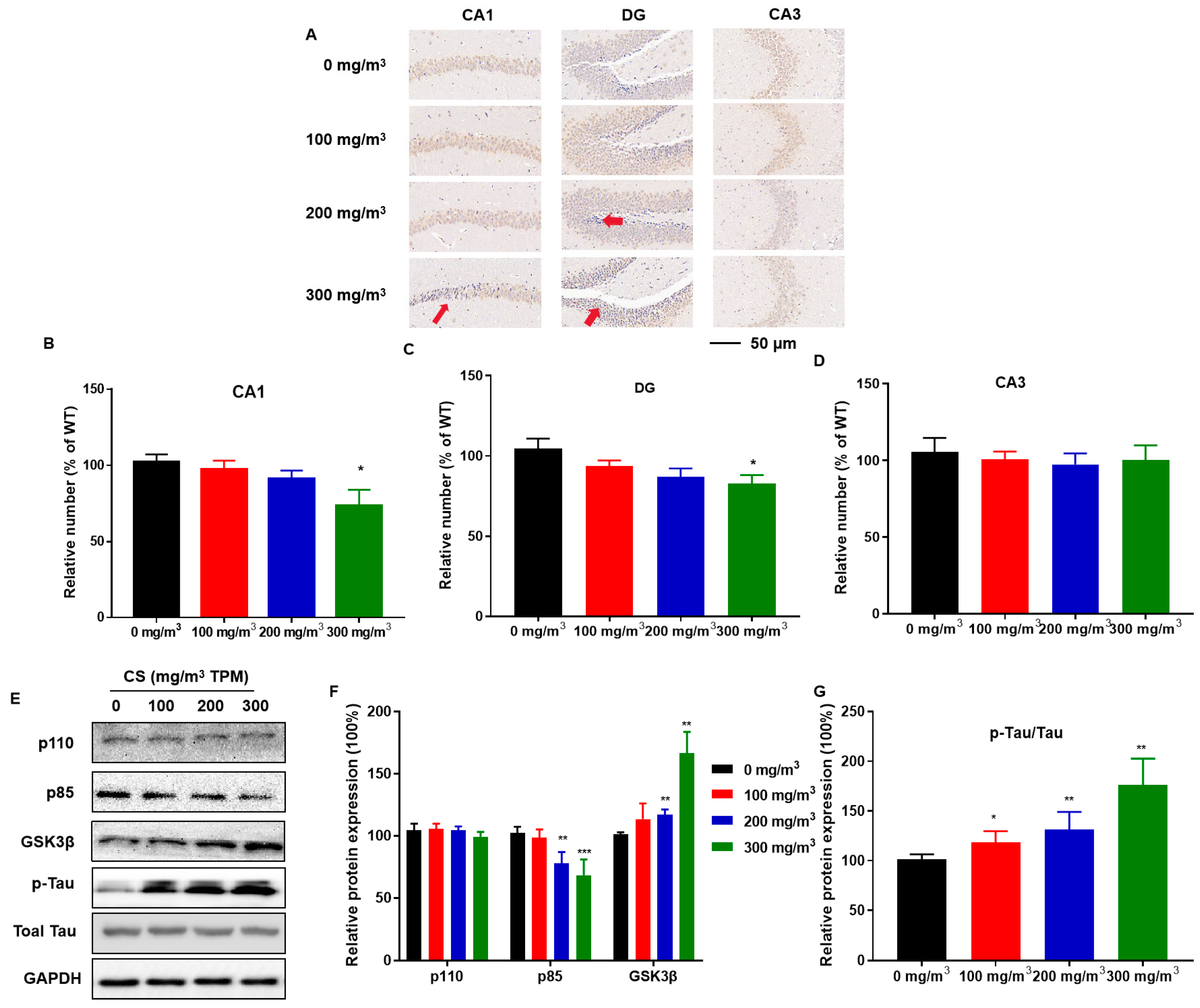 Toxics 11 00969 g003