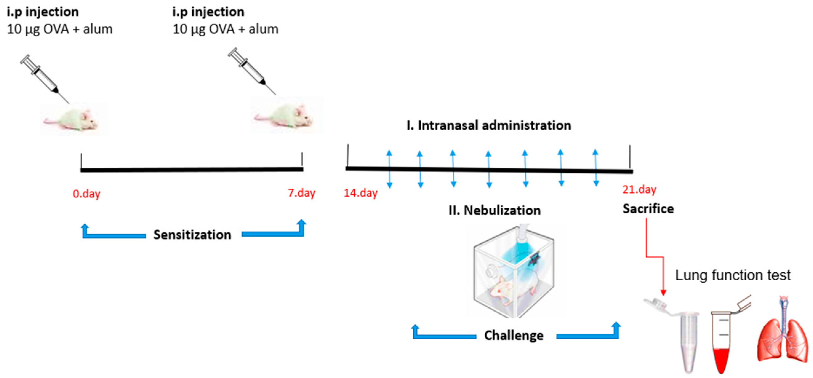 Toxics 11 00974 g001