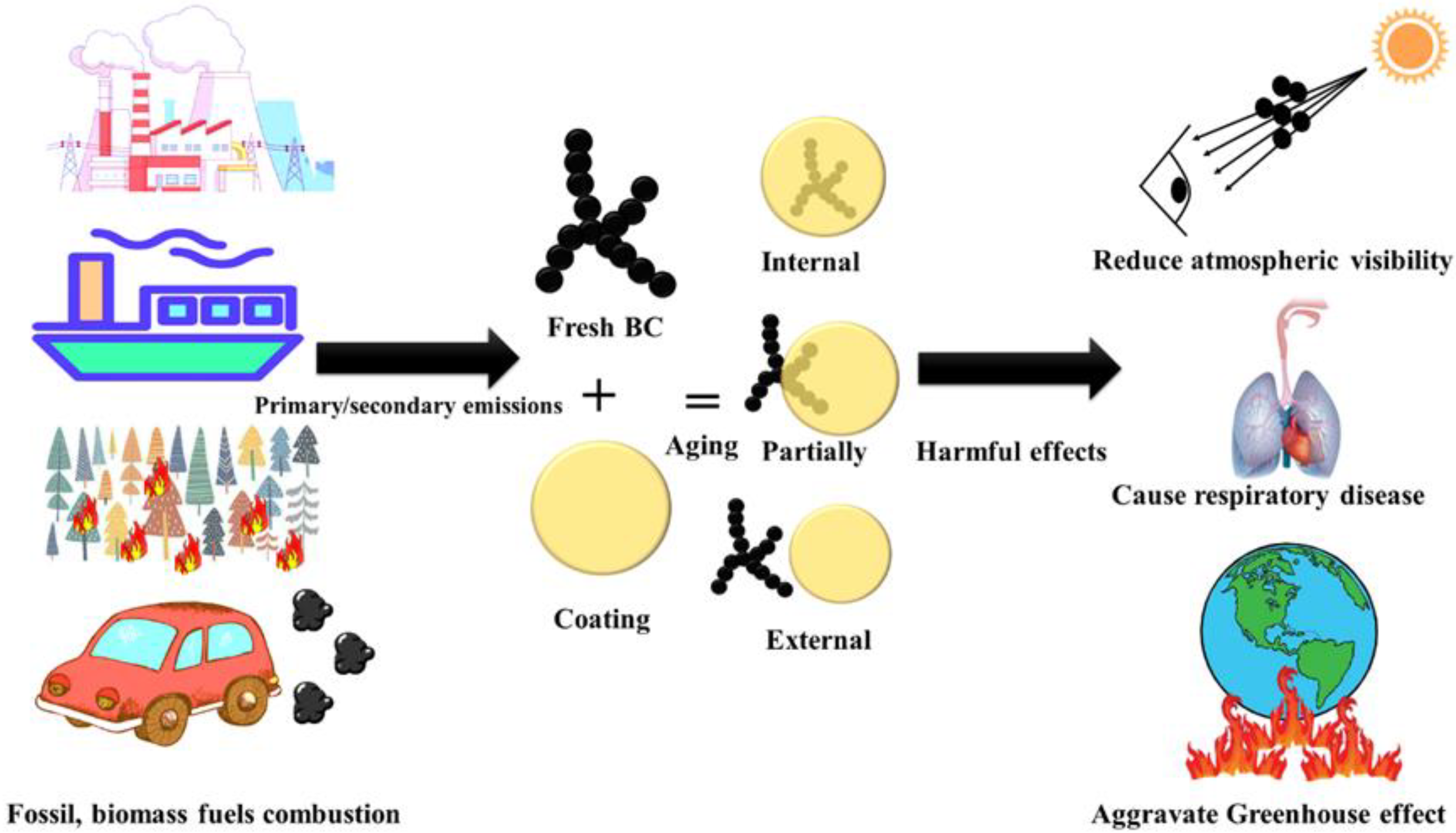 Toxics 11 00975 g001