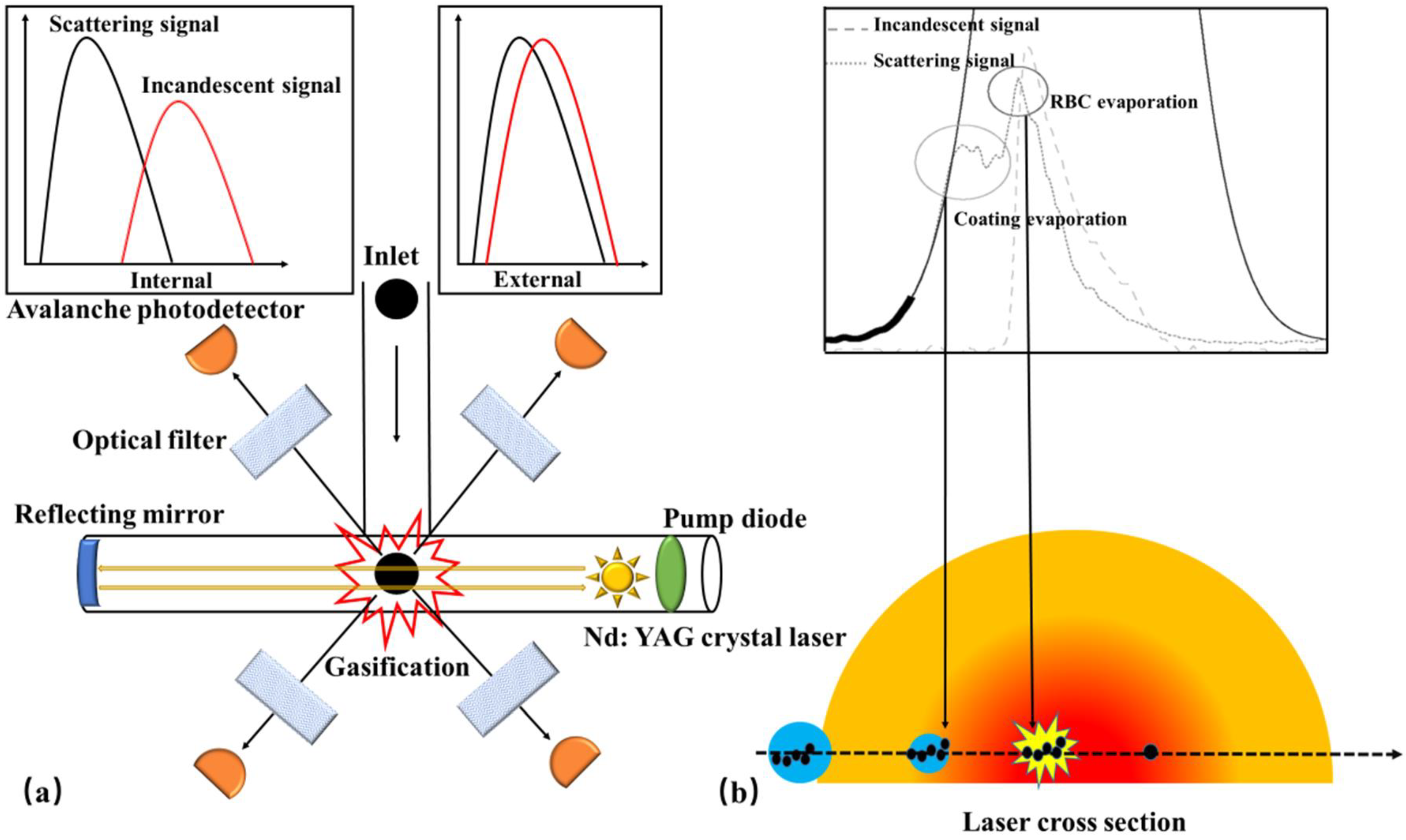 Toxics 11 00975 g004