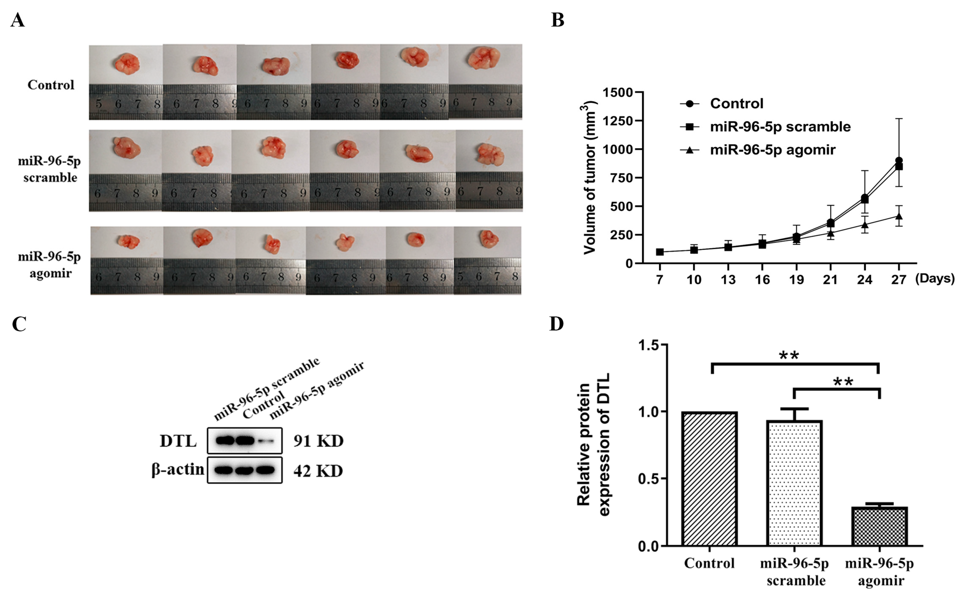 Toxics 11 00978 g006