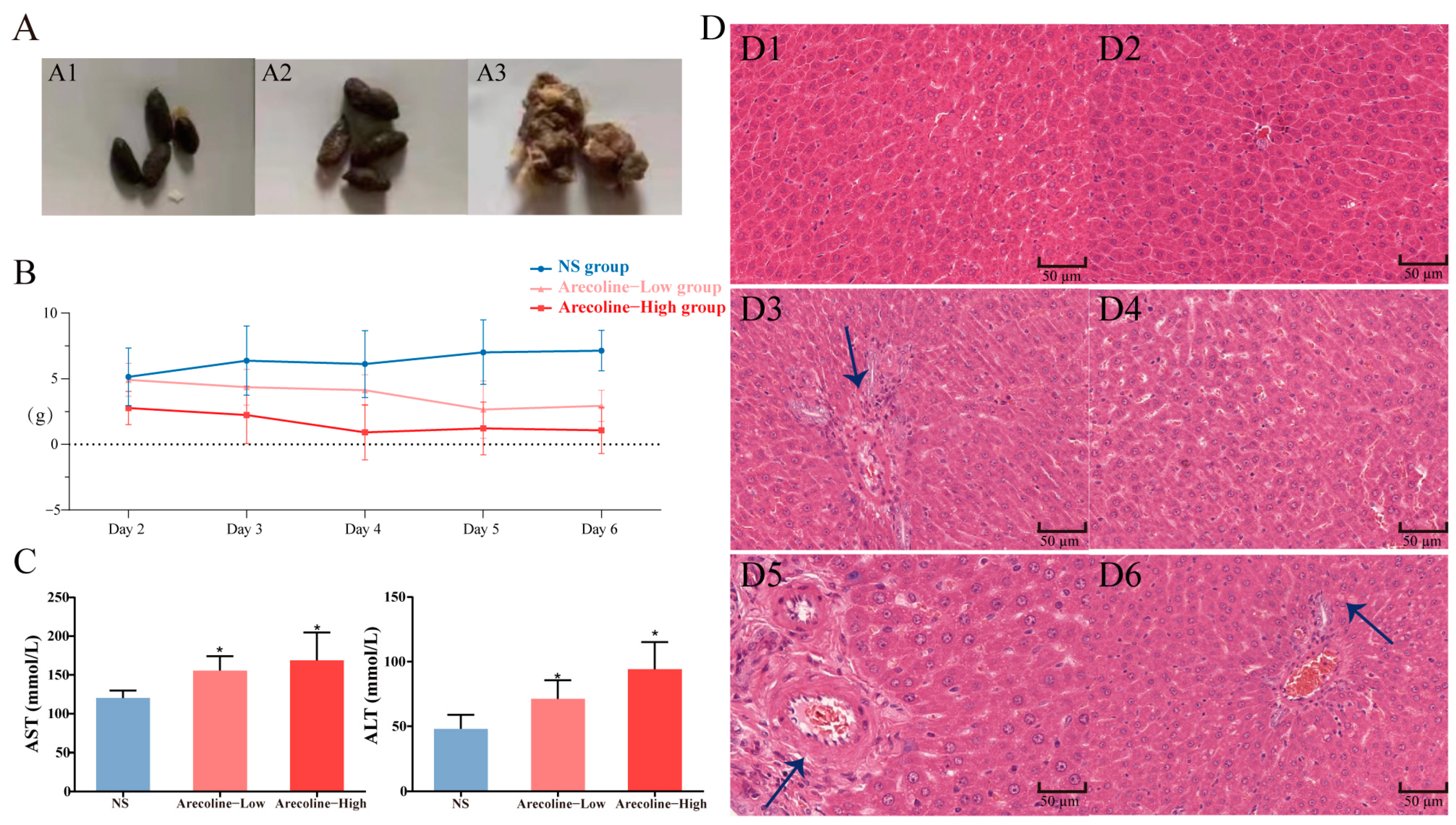 Toxics 11 00984 g001