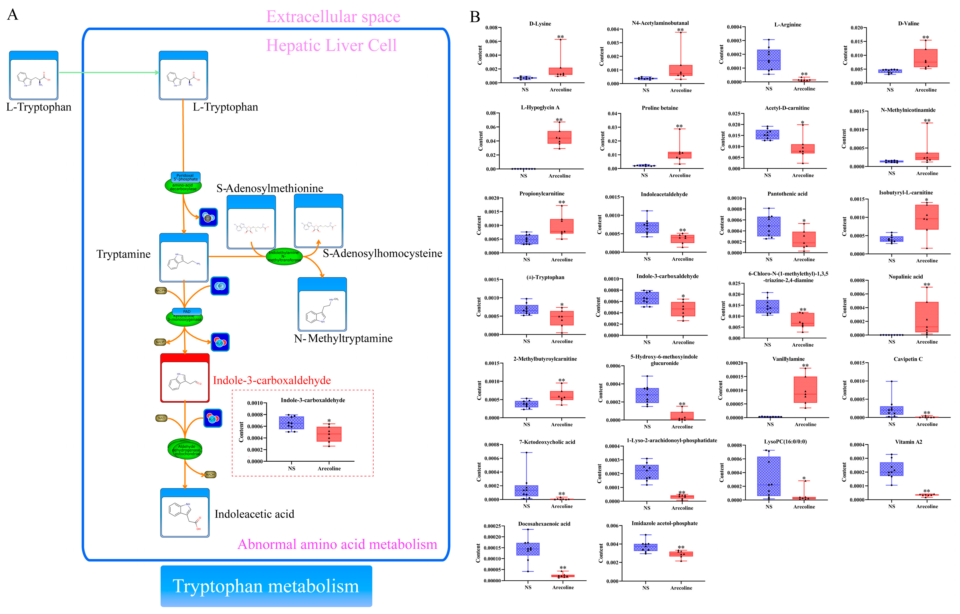 Toxics 11 00984 g004