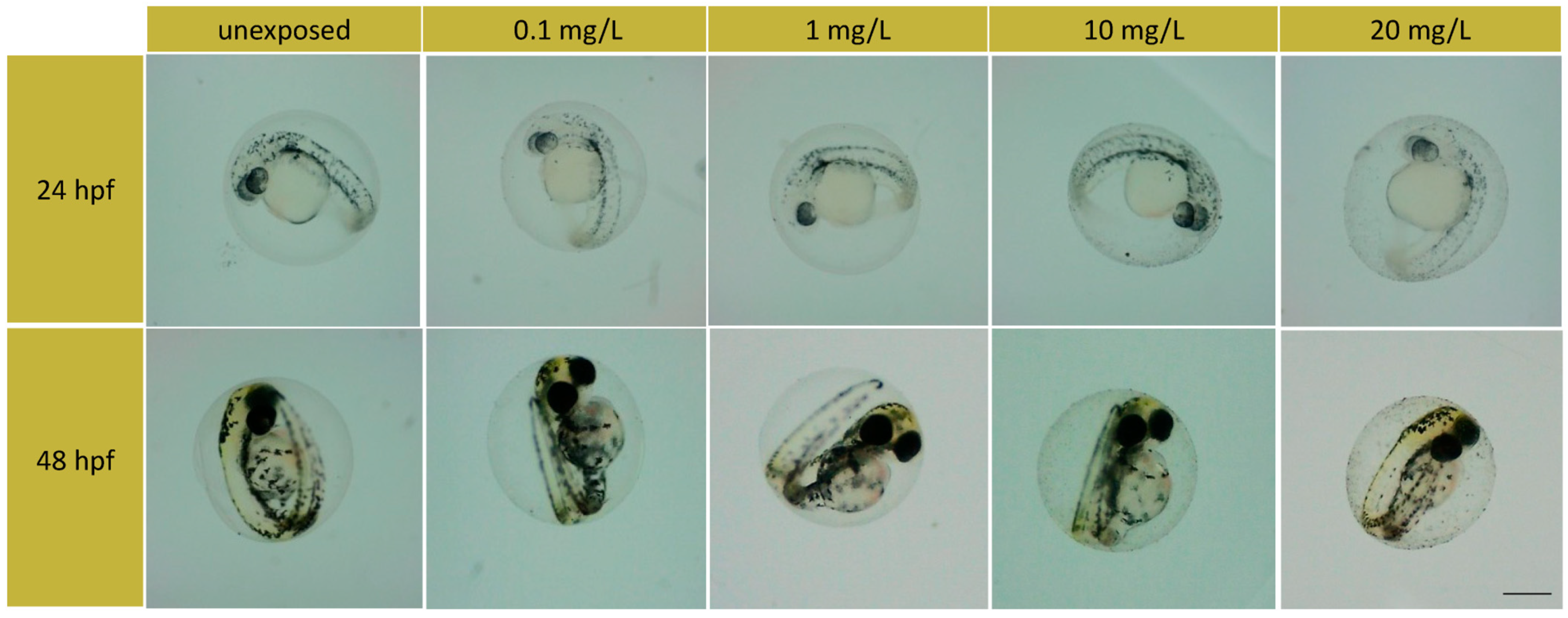 Toxics 11 00994 g002