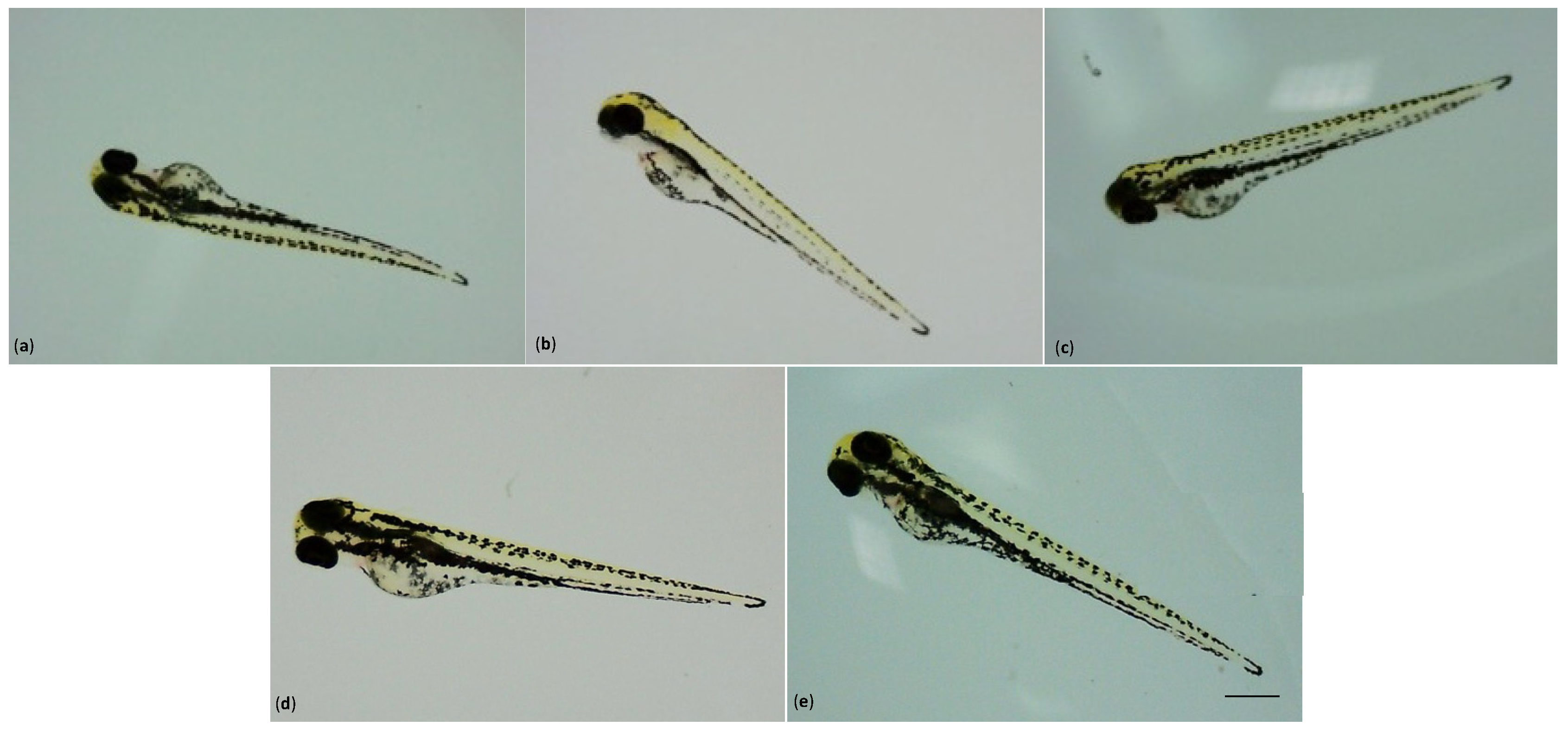 Toxics 11 00994 g004