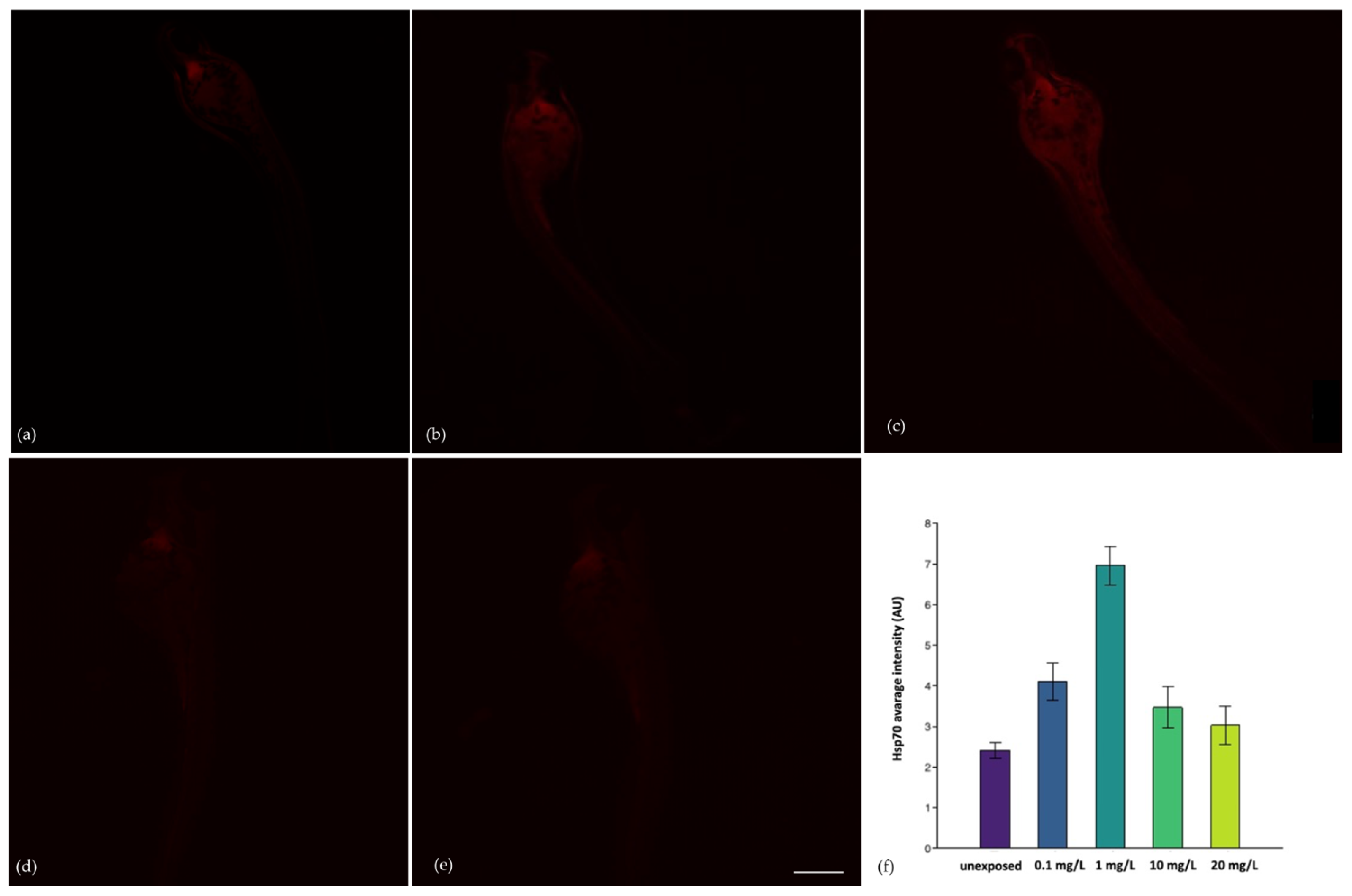 Toxics 11 00994 g005