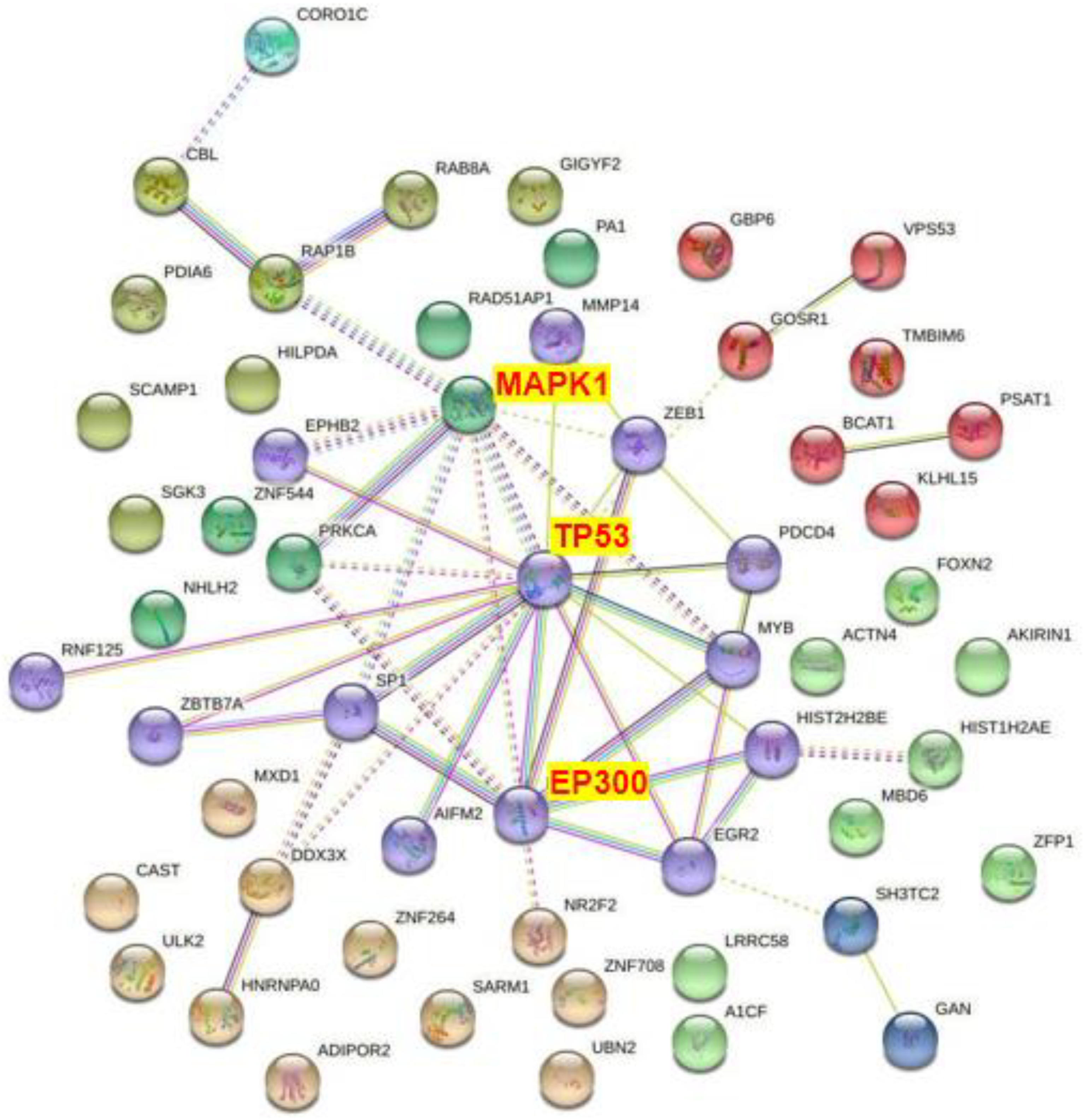 Toxics 11 00995 g012