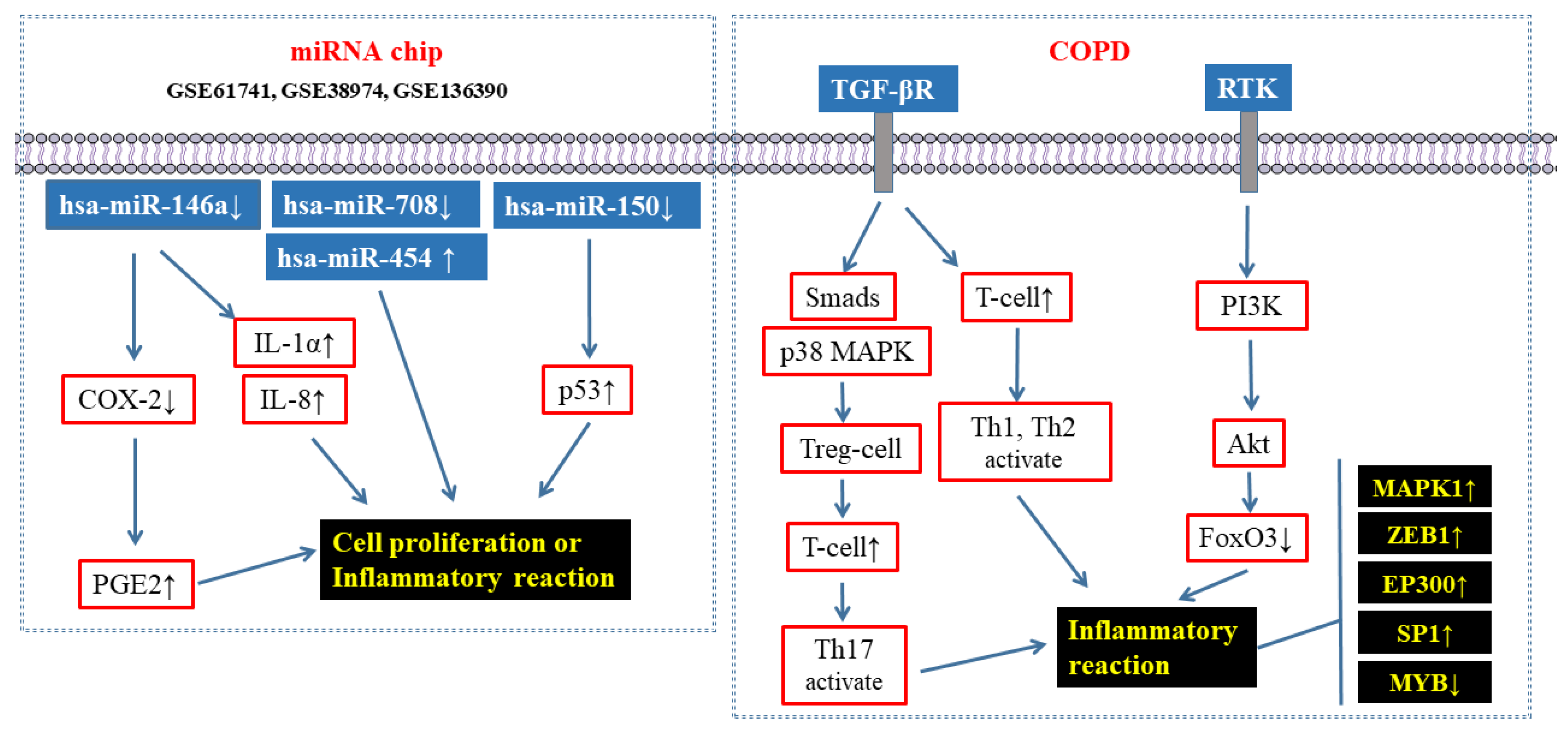 Toxics 11 00995 g015