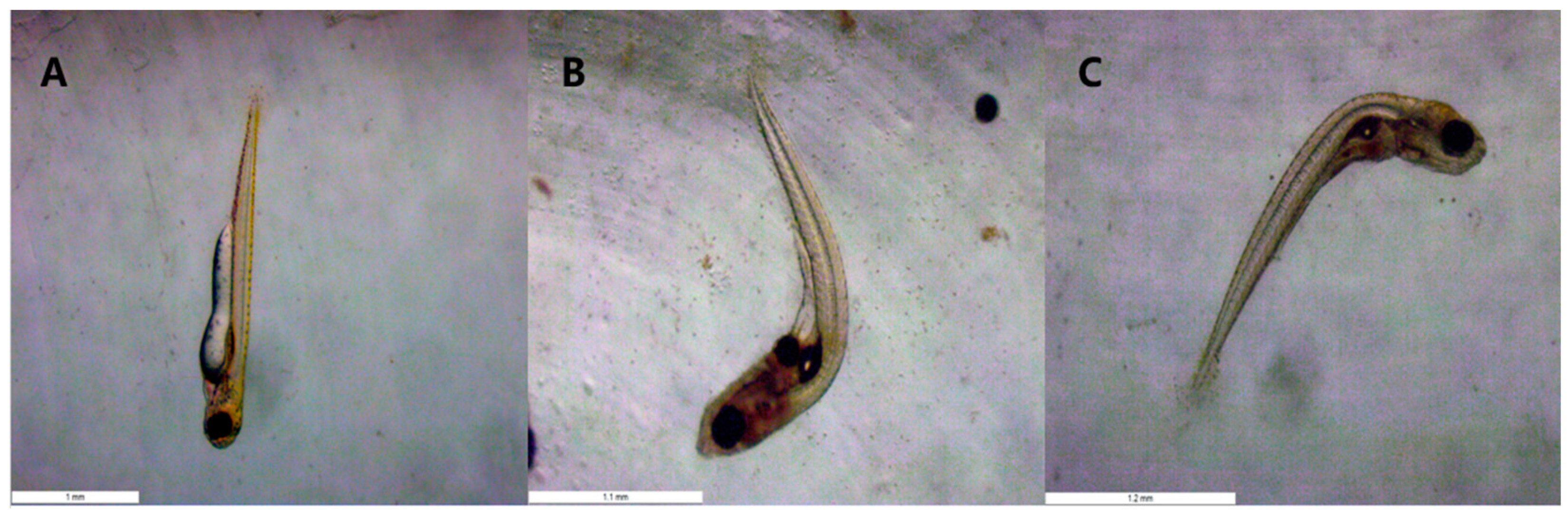 Toxics 11 01003 g003