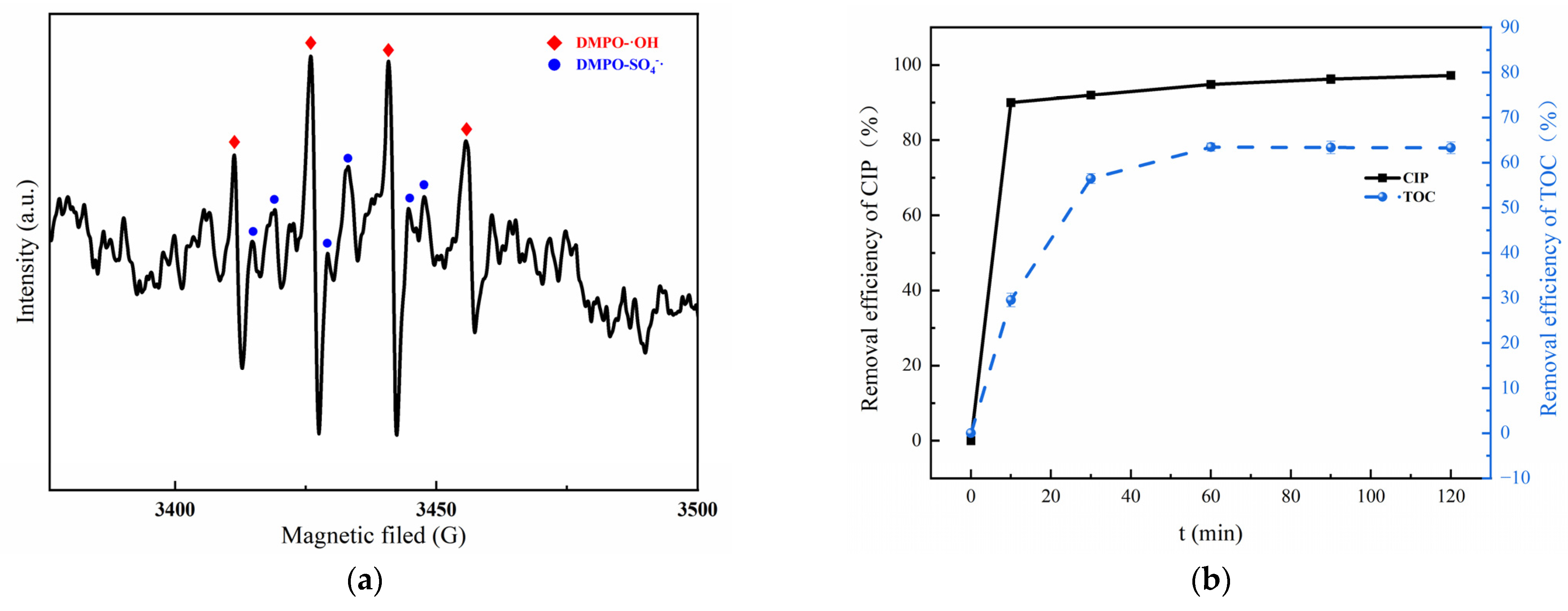 Toxics 11 01016 g007