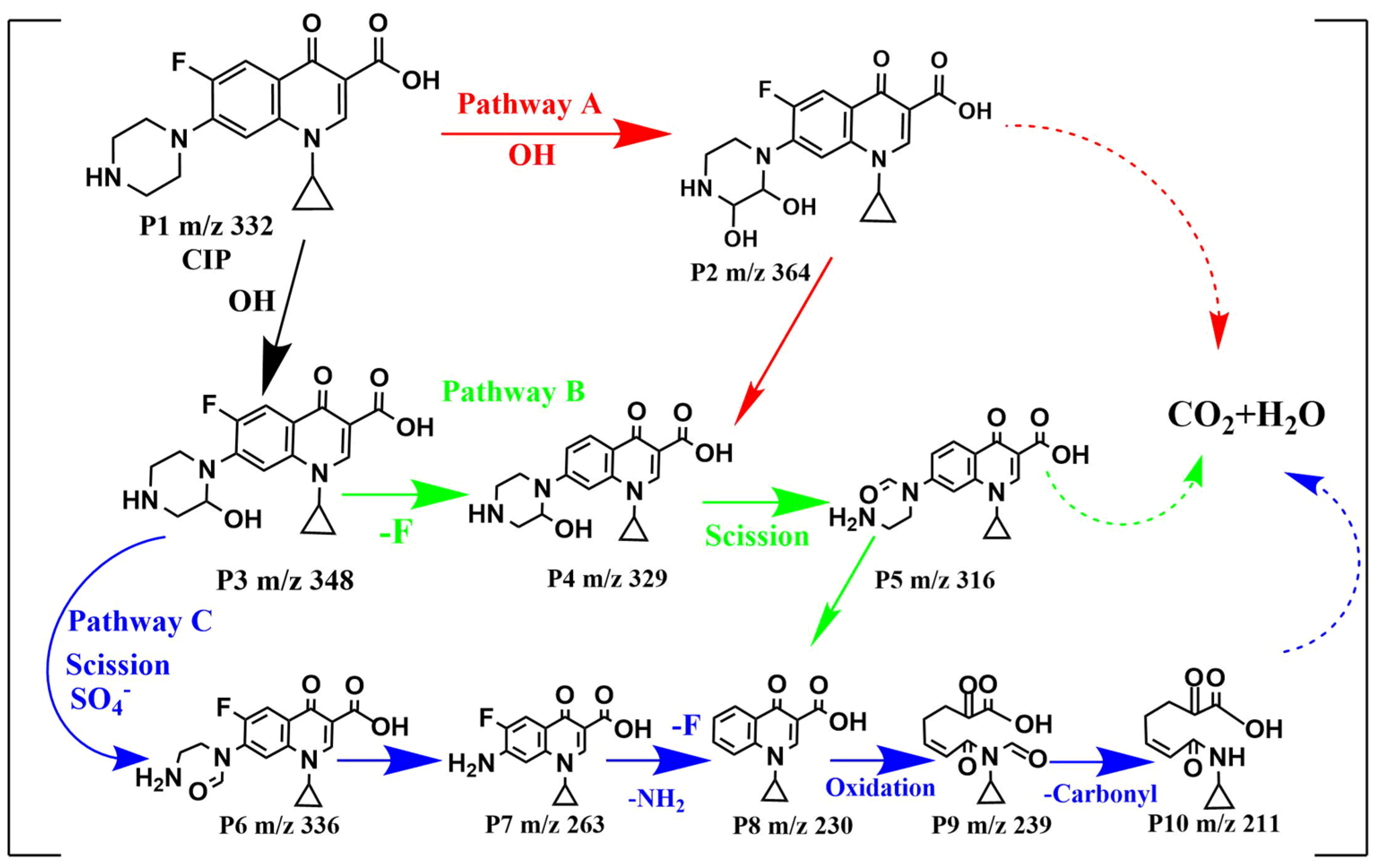 Toxics 11 01016 g009