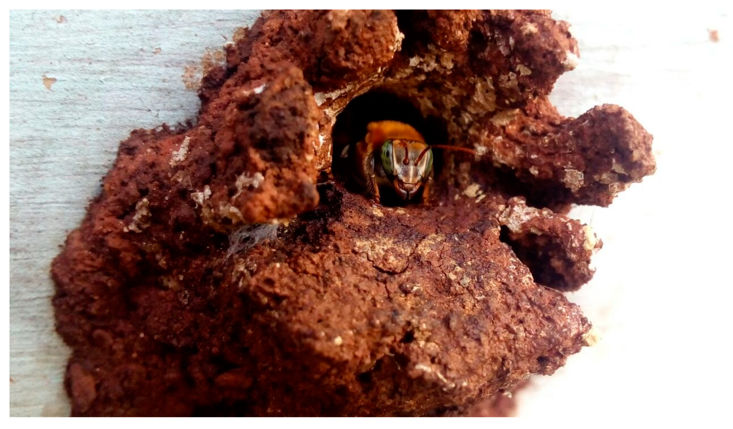 Toxics 11 01028 g001