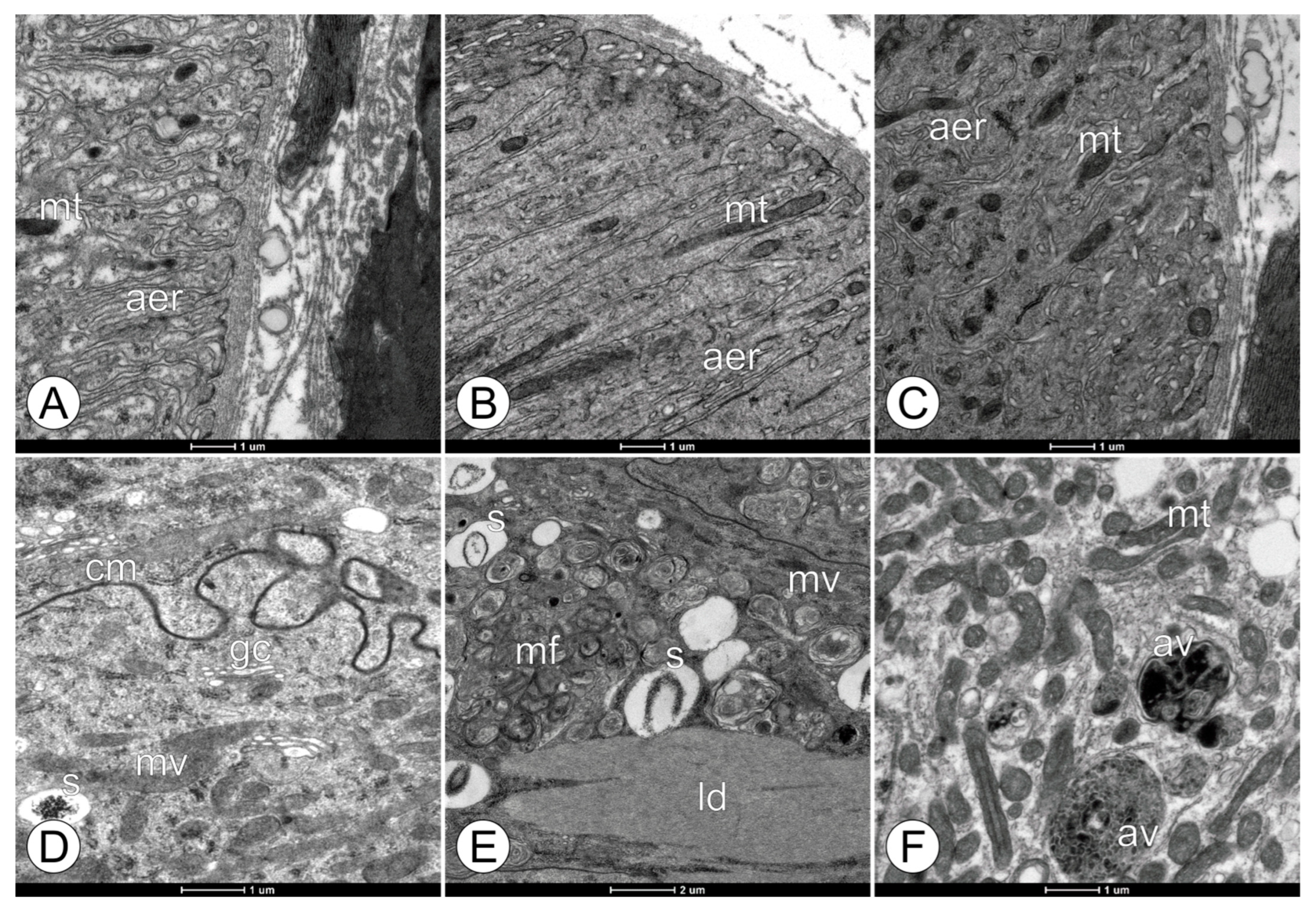 Toxics 11 01028 g004