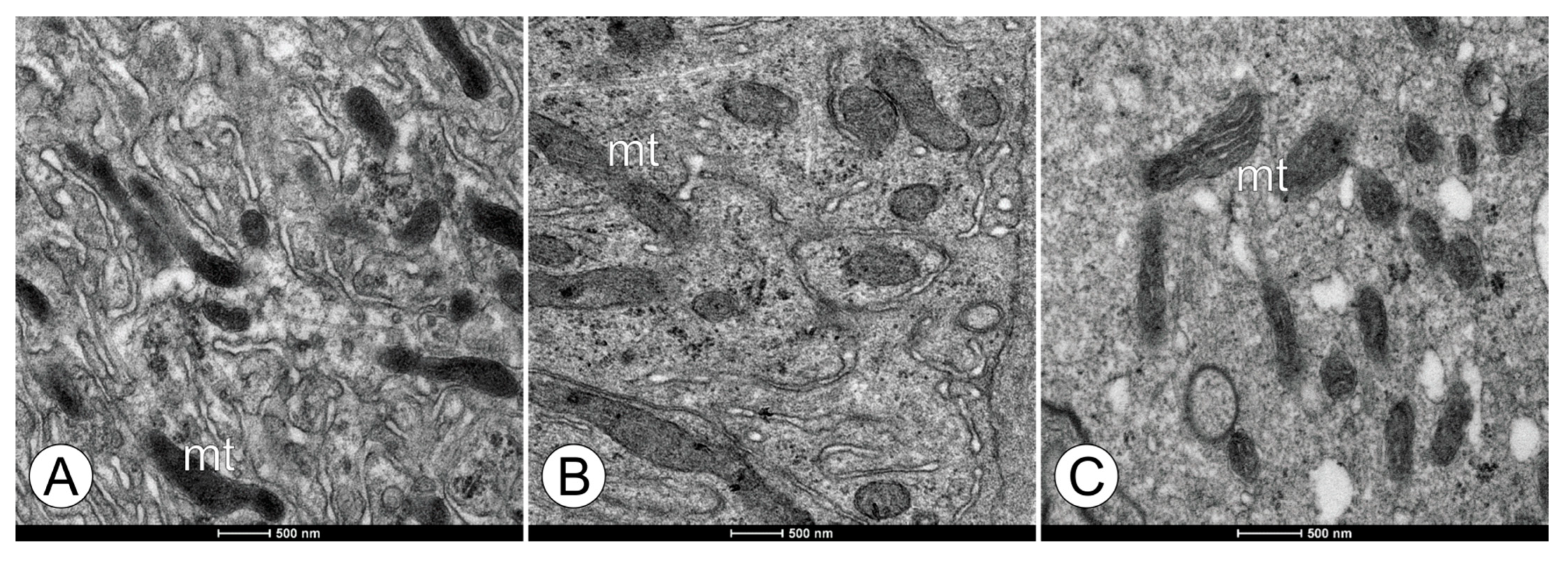 Toxics 11 01028 g005
