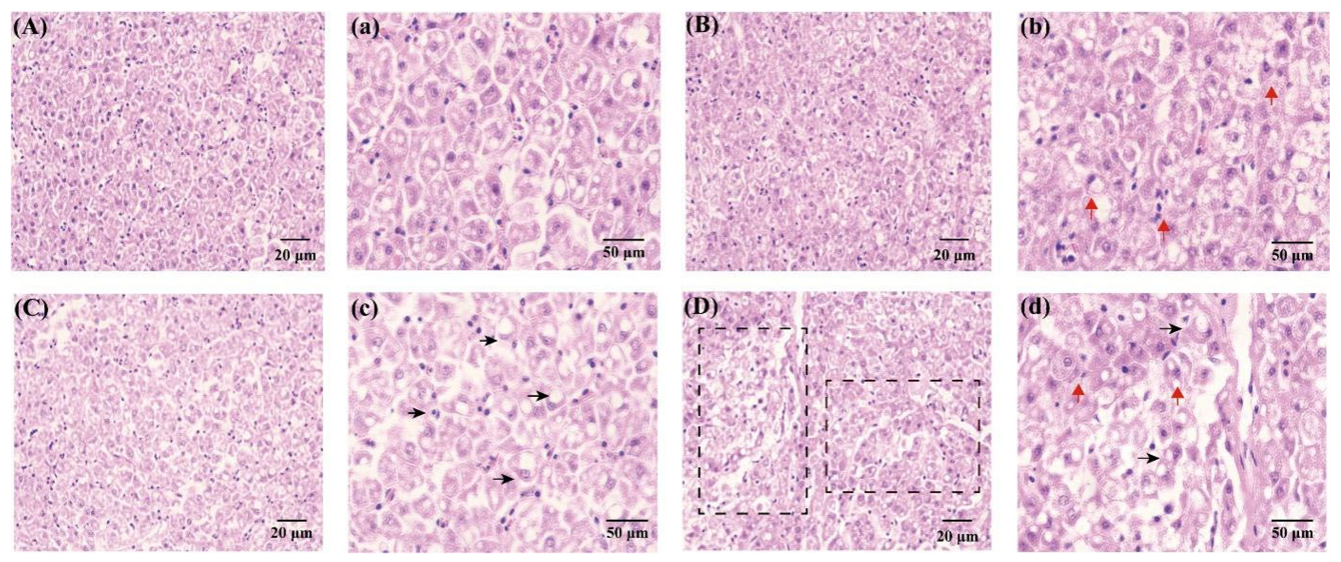 Toxics 12 00013 g002