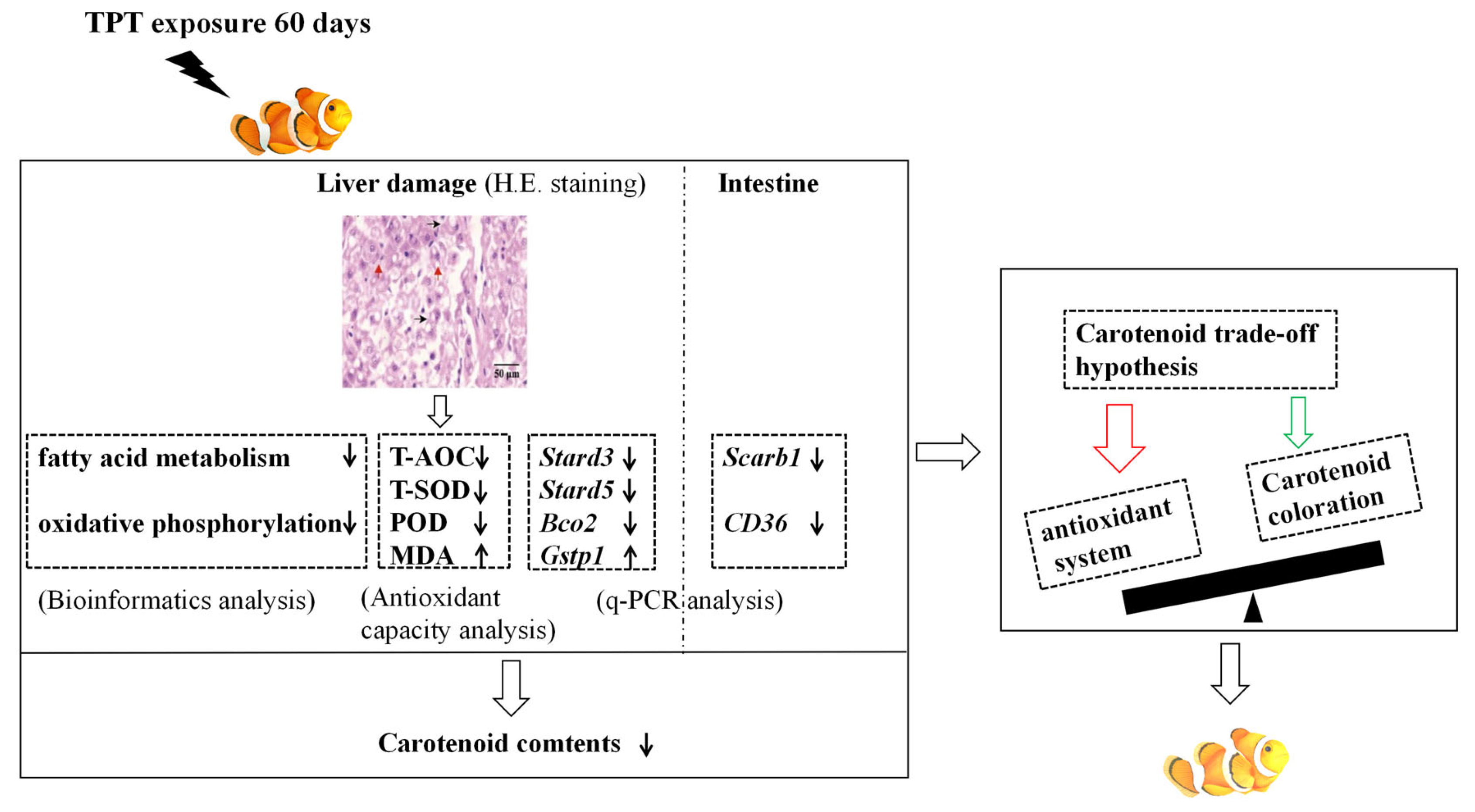 Toxics 12 00013 g007
