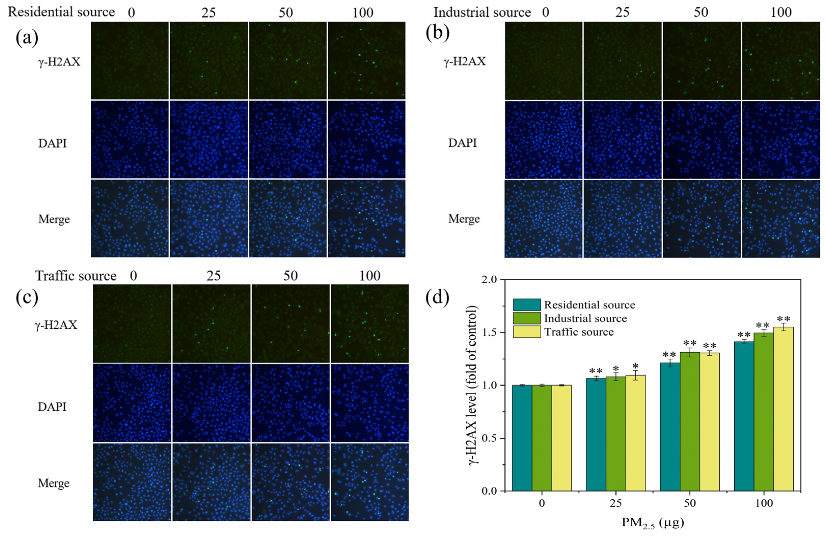 Toxics 12 00021 g005