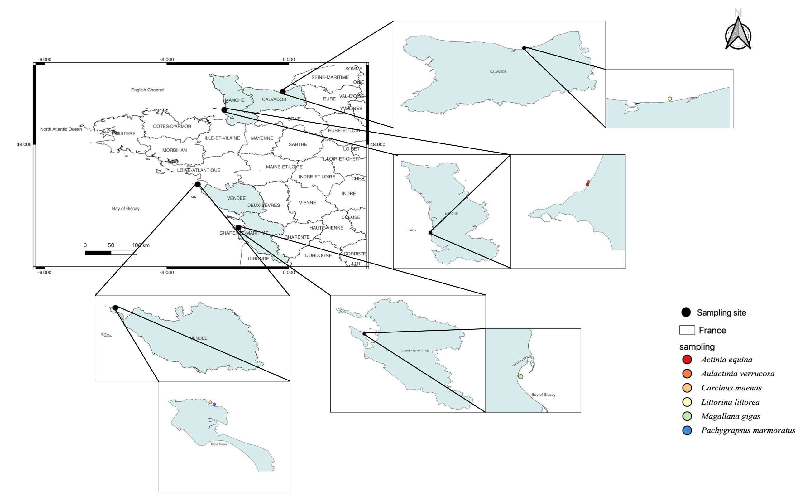Toxics 12 00029 g001