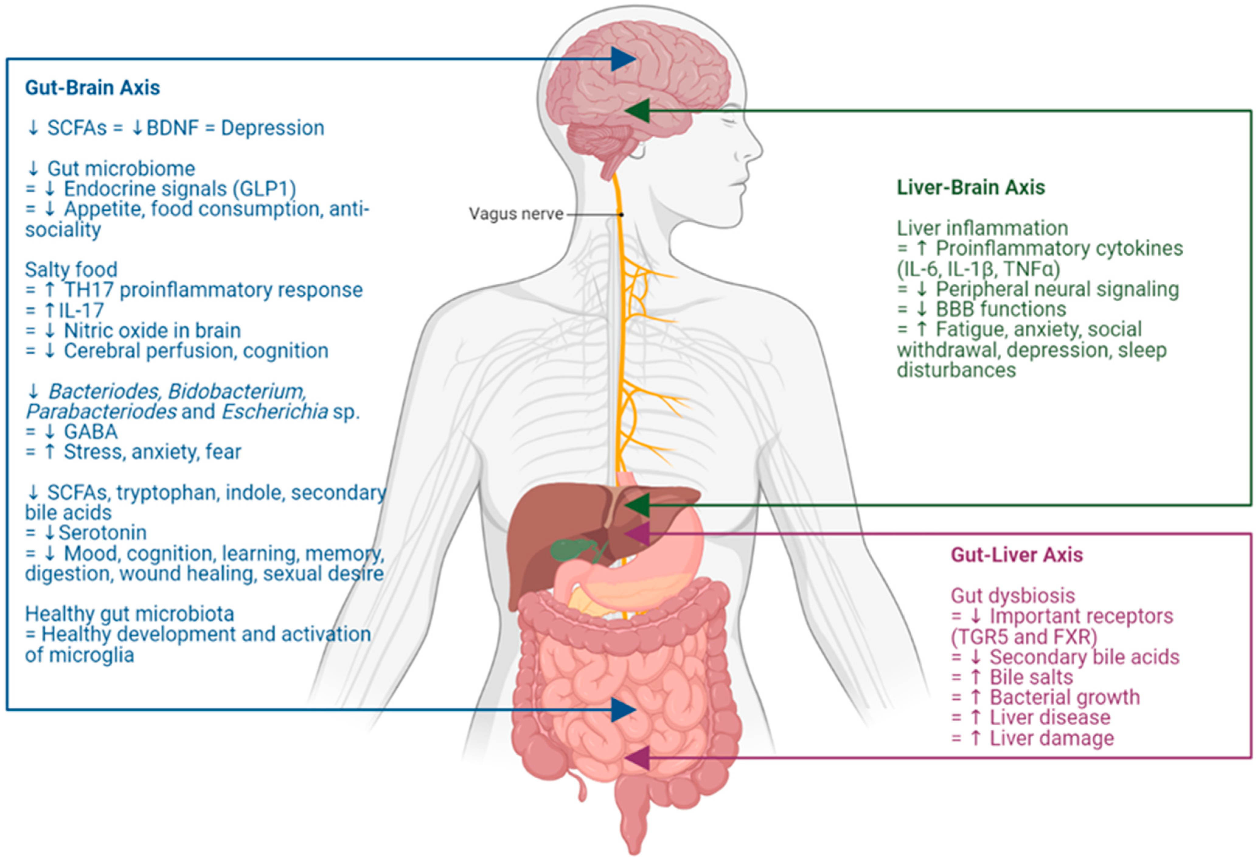 Toxics 12 00039 g001 Toxics 12 00039 g001