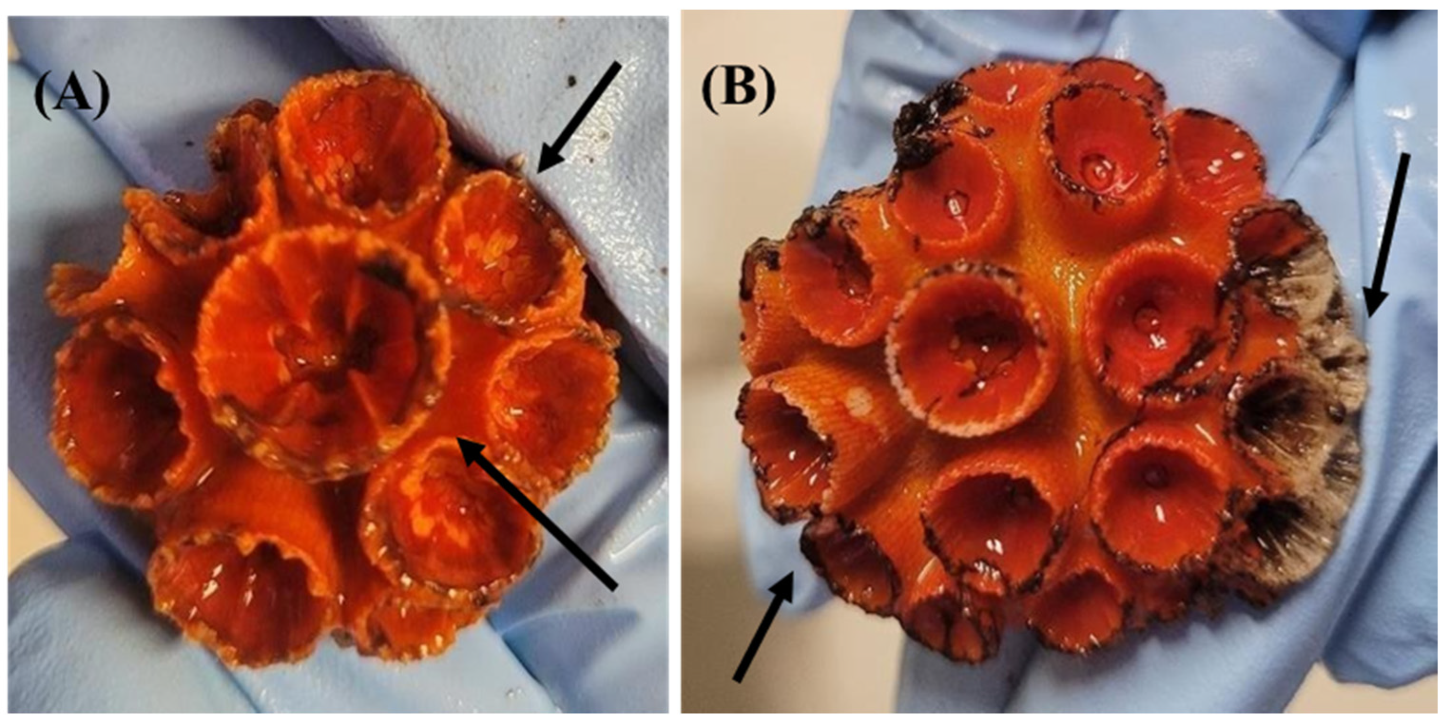 Toxics 12 00044 g002 Toxics 12 00044 g002