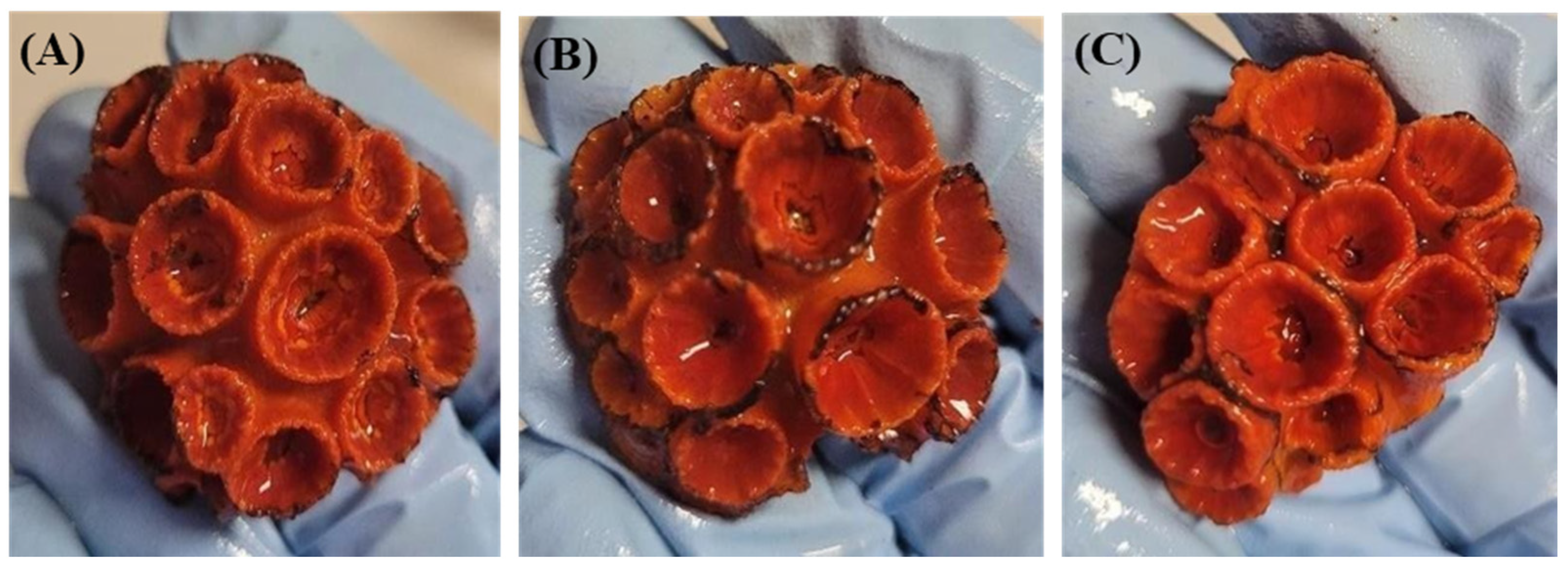 Toxics 12 00044 g003 Toxics 12 00044 g003