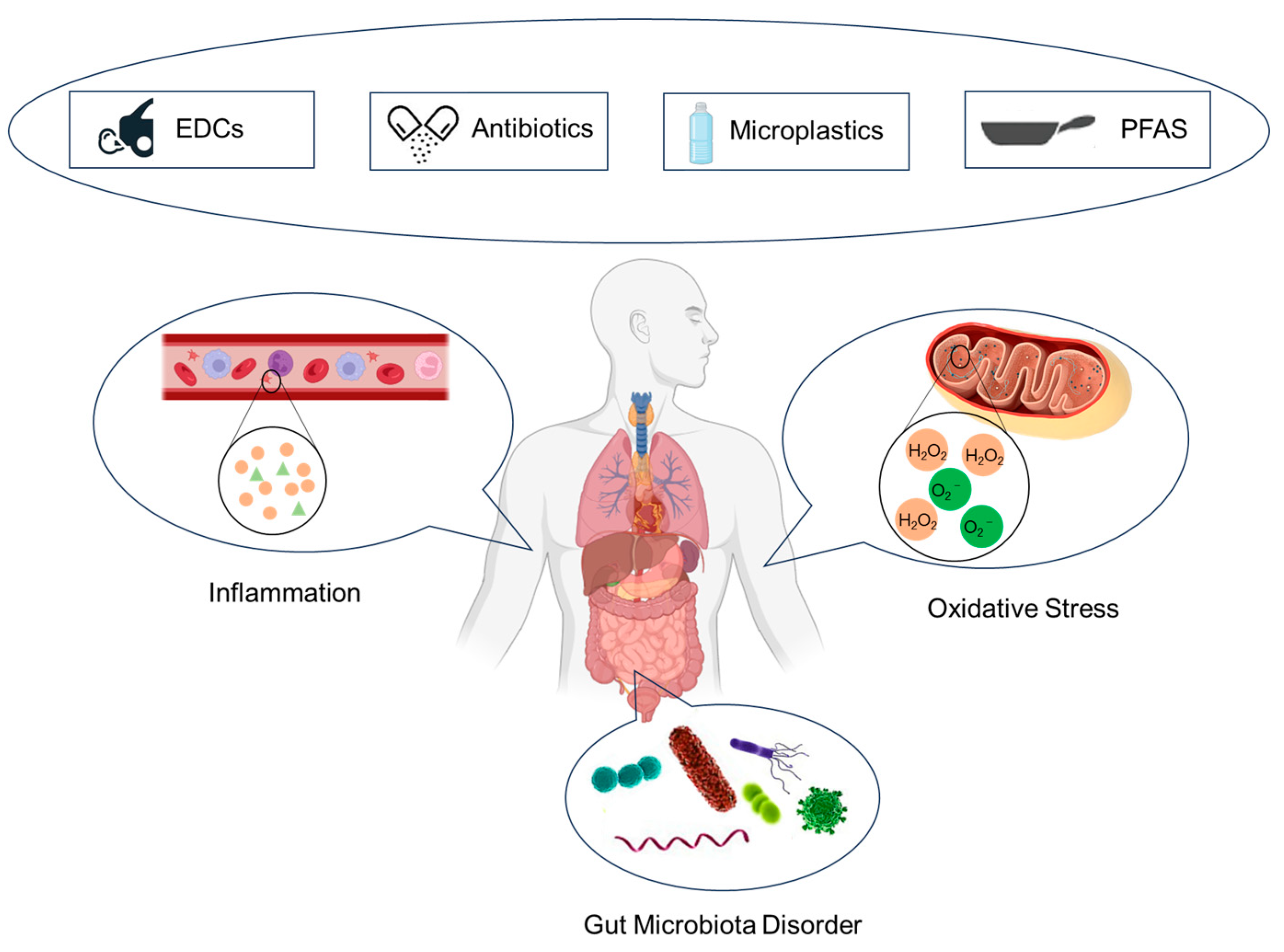 Toxics 12 00047 g002