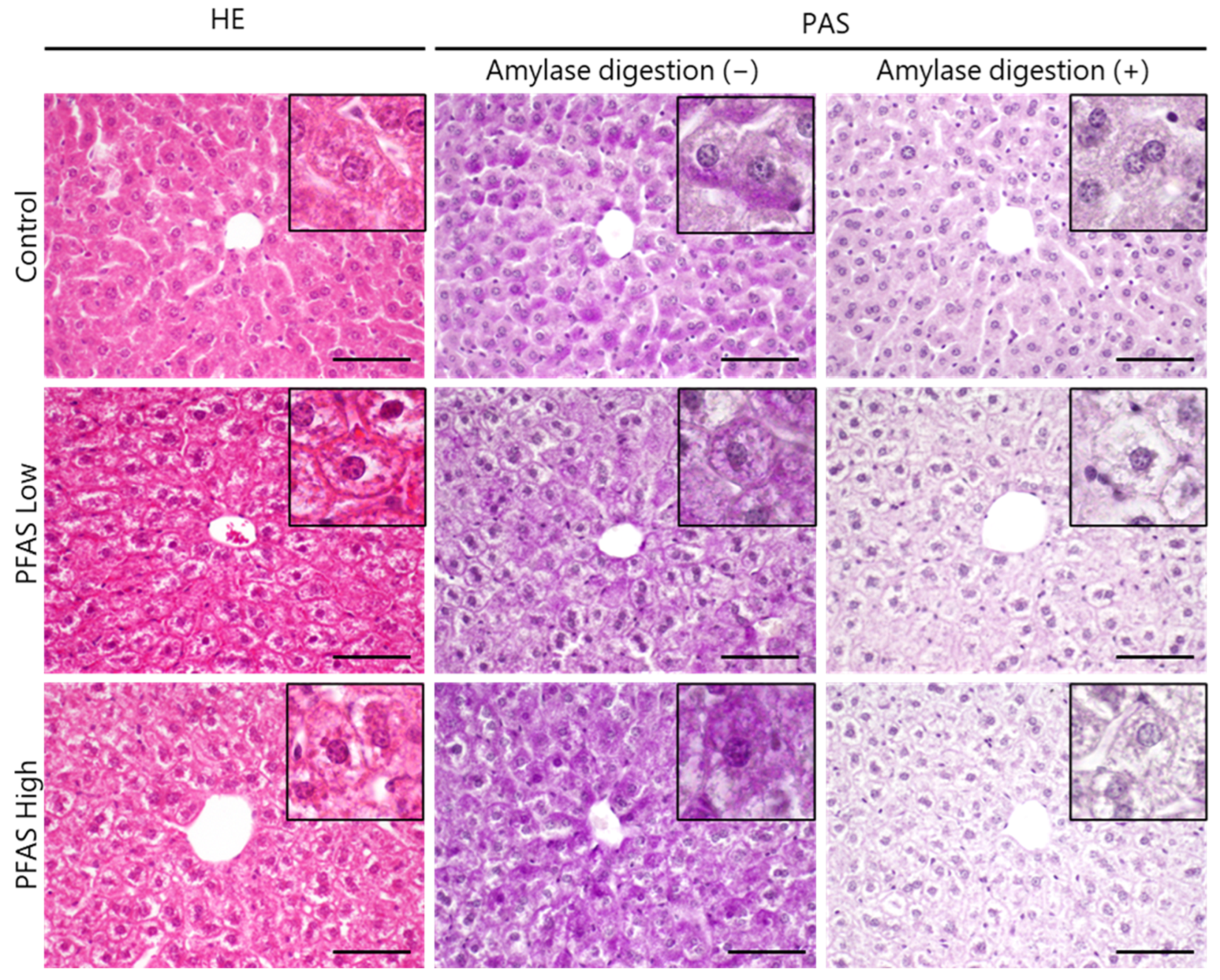 Toxics 12 00052 g001