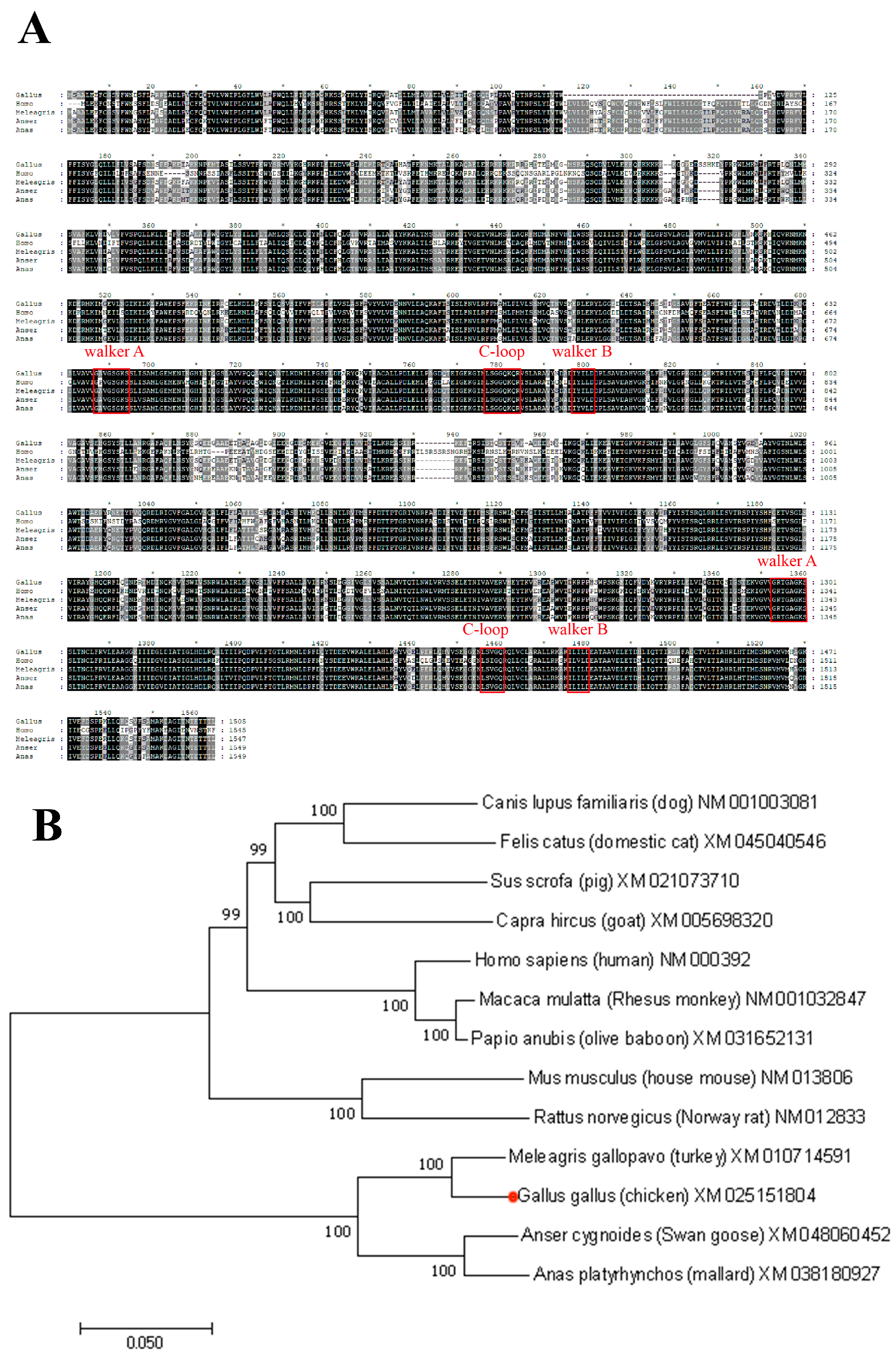 Toxics 12 00055 g001