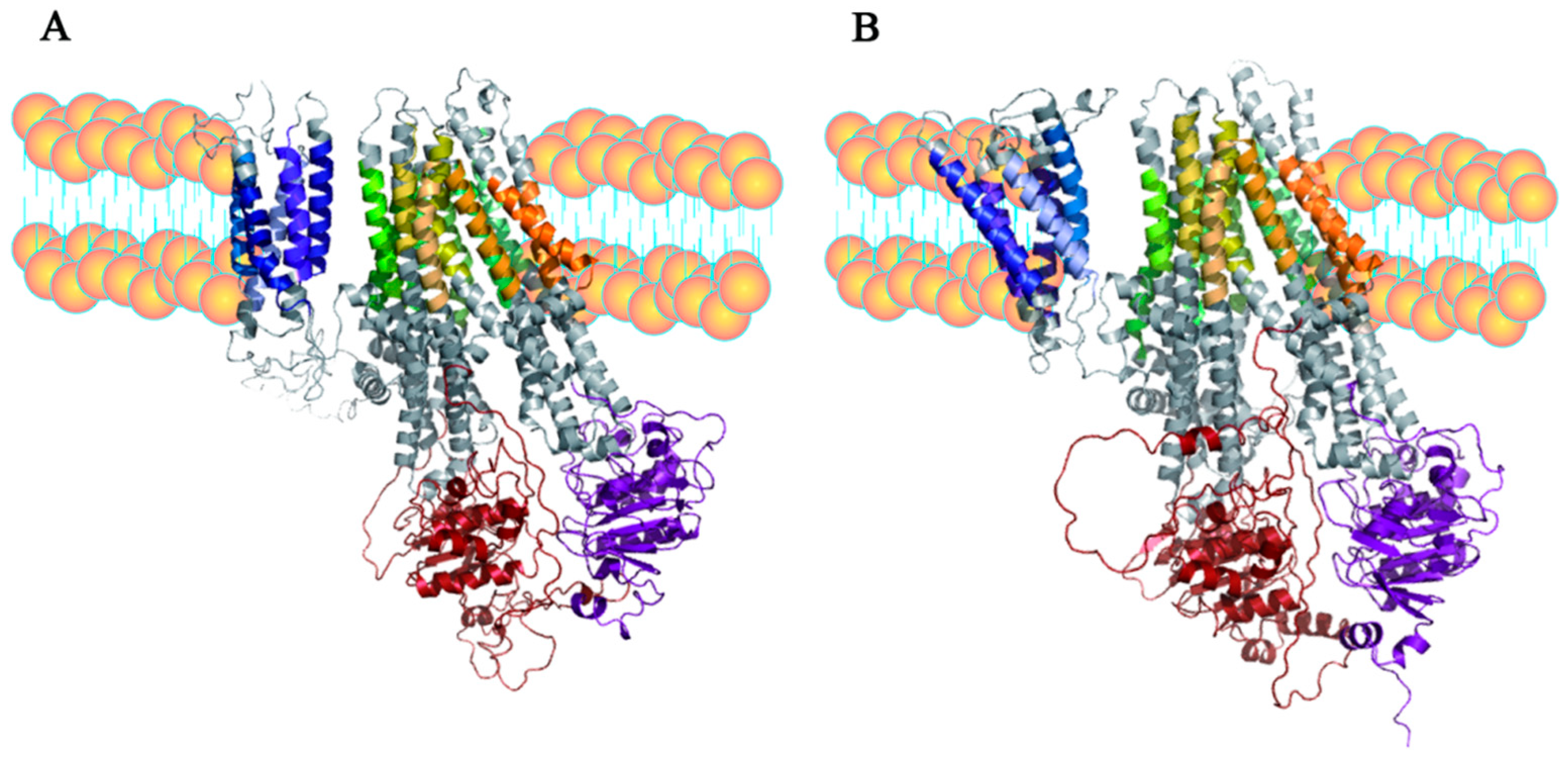 Toxics 12 00055 g003