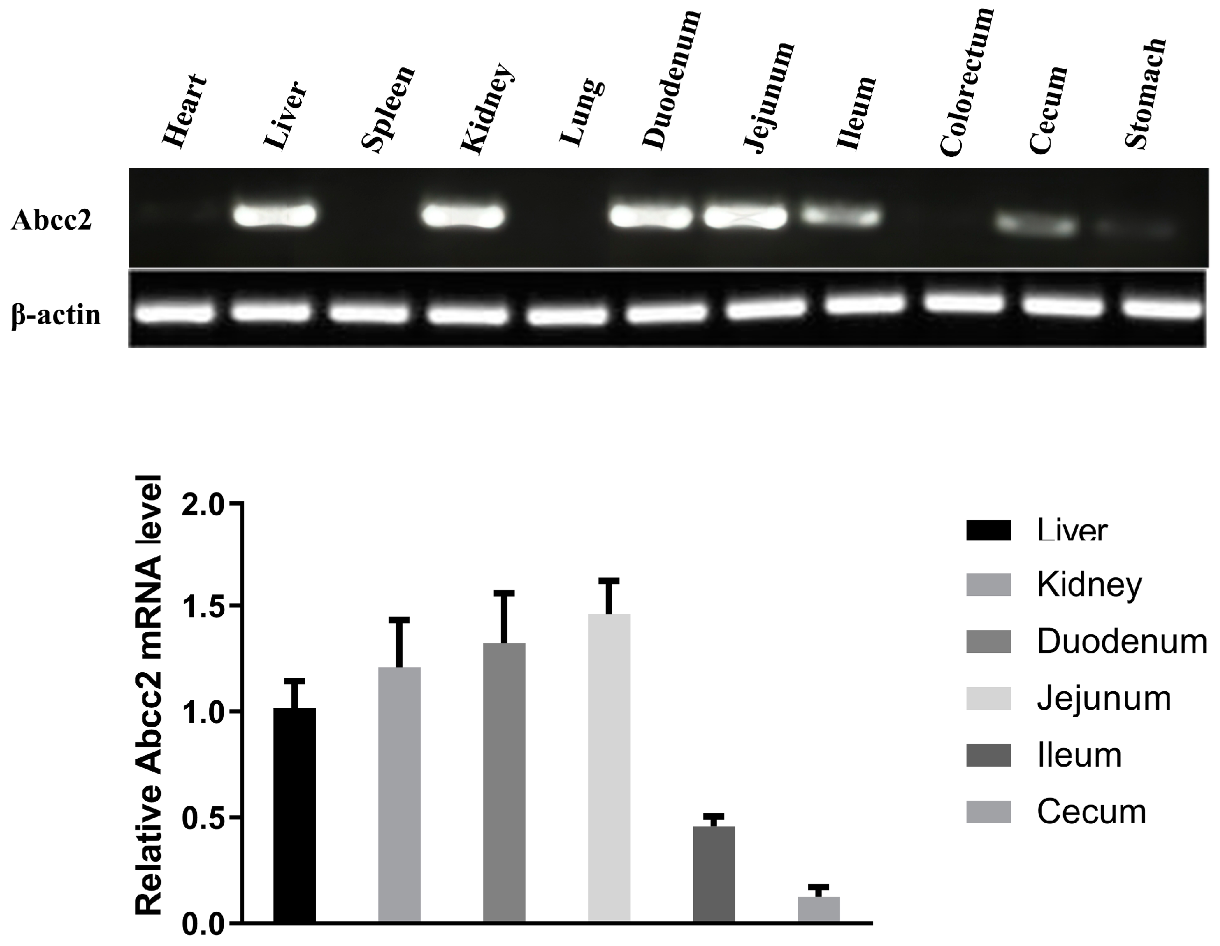 Toxics 12 00055 g004