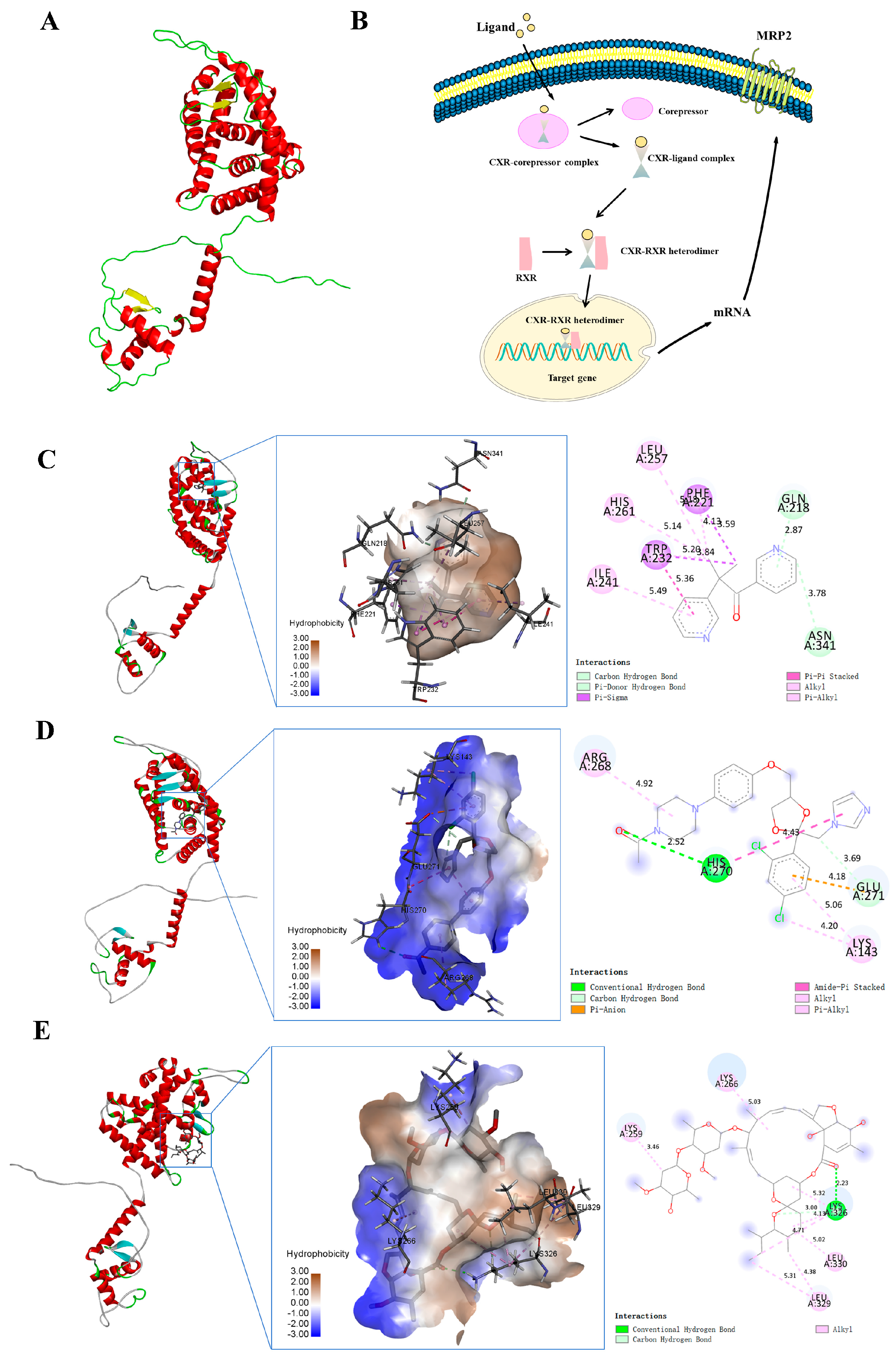 Toxics 12 00055 g005