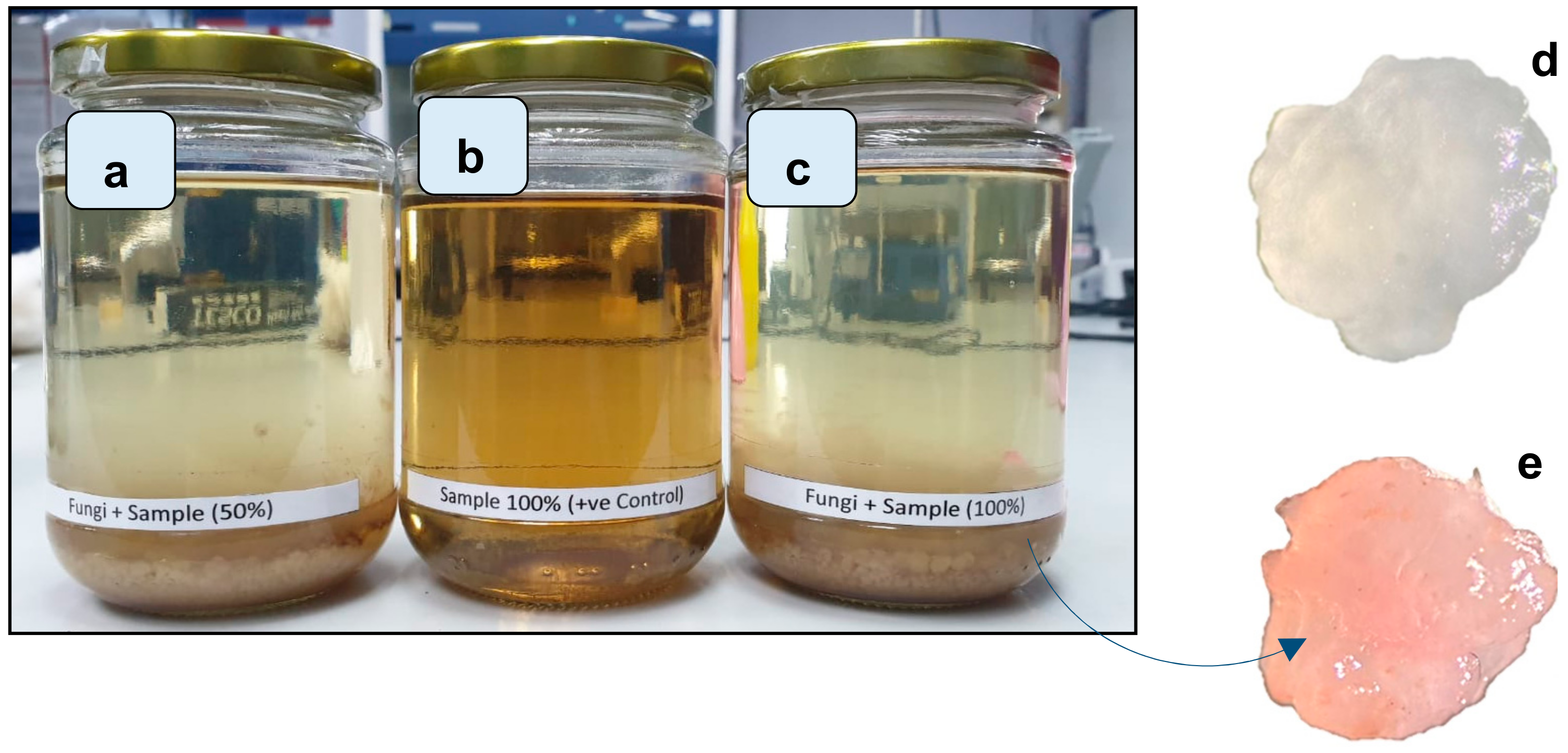 Toxics 12 00060 g003