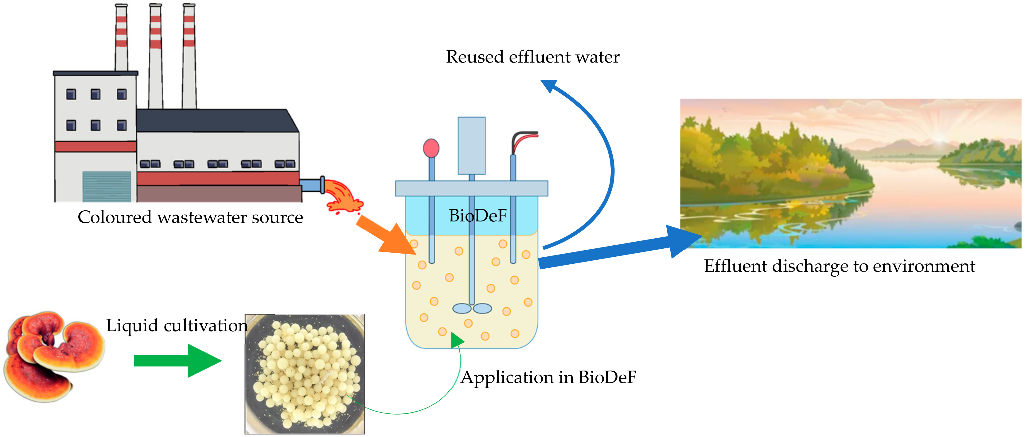 Toxics 12 00060 g004