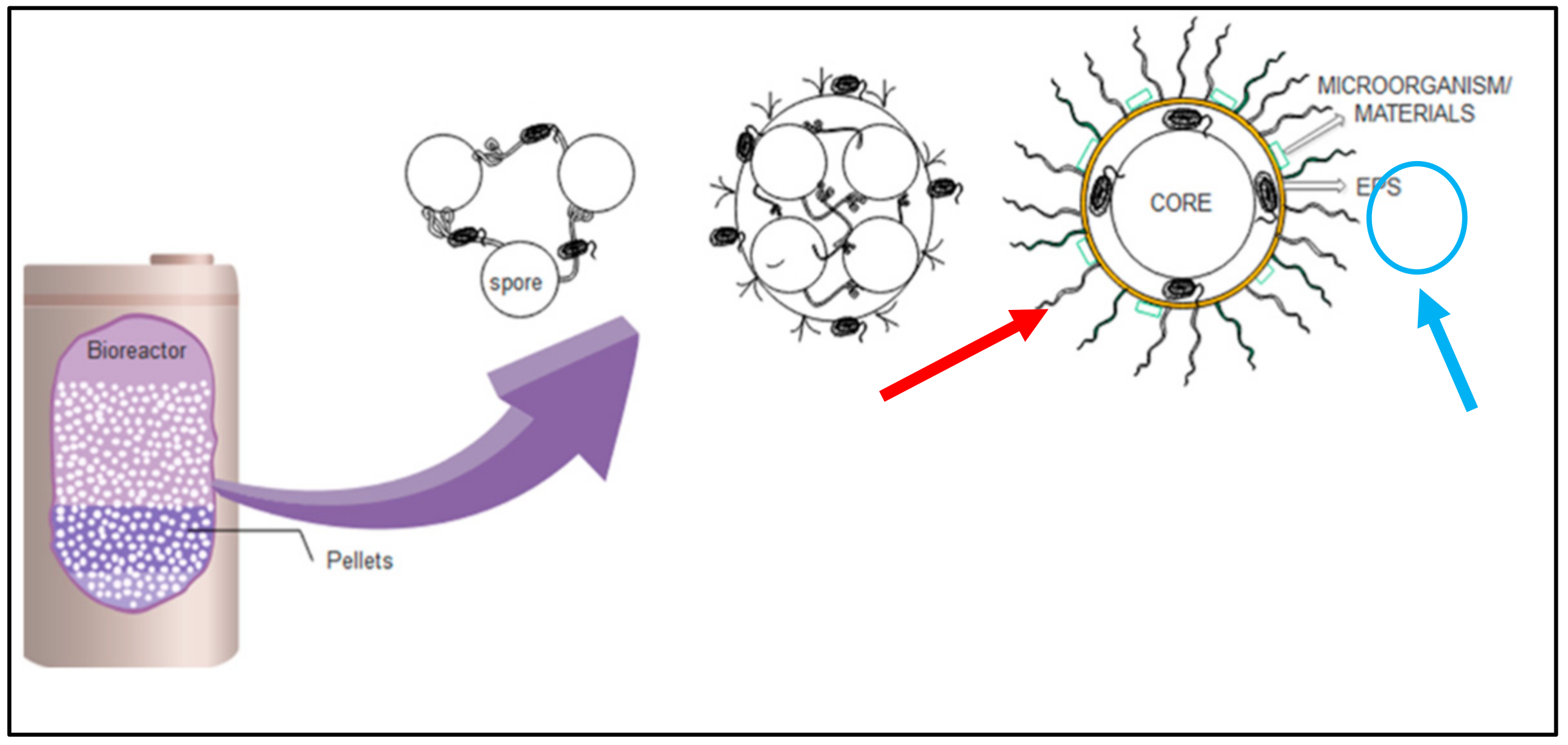 Toxics 12 00060 g006