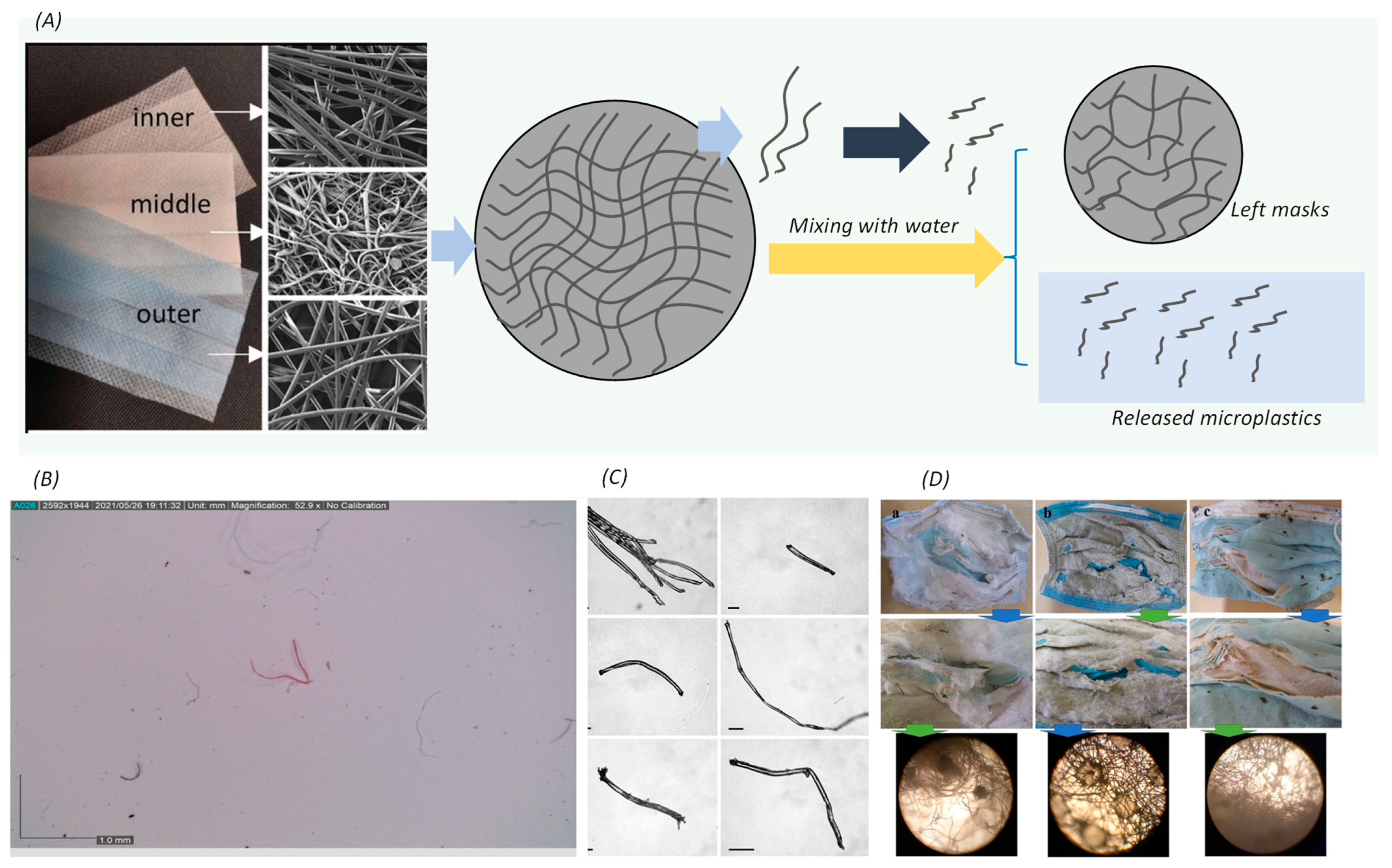 Toxics 12 00061 g003