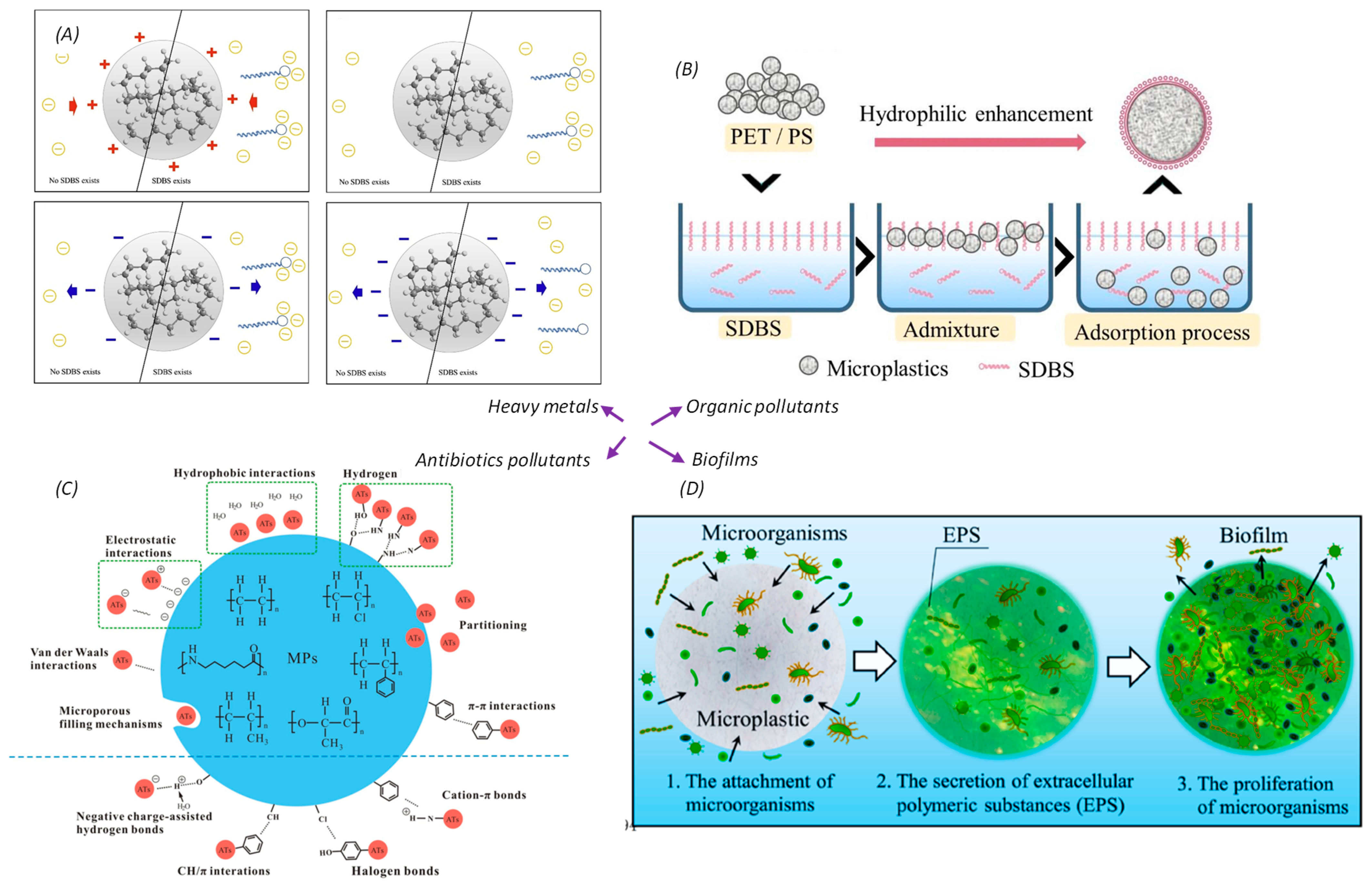 Toxics 12 00061 g004
