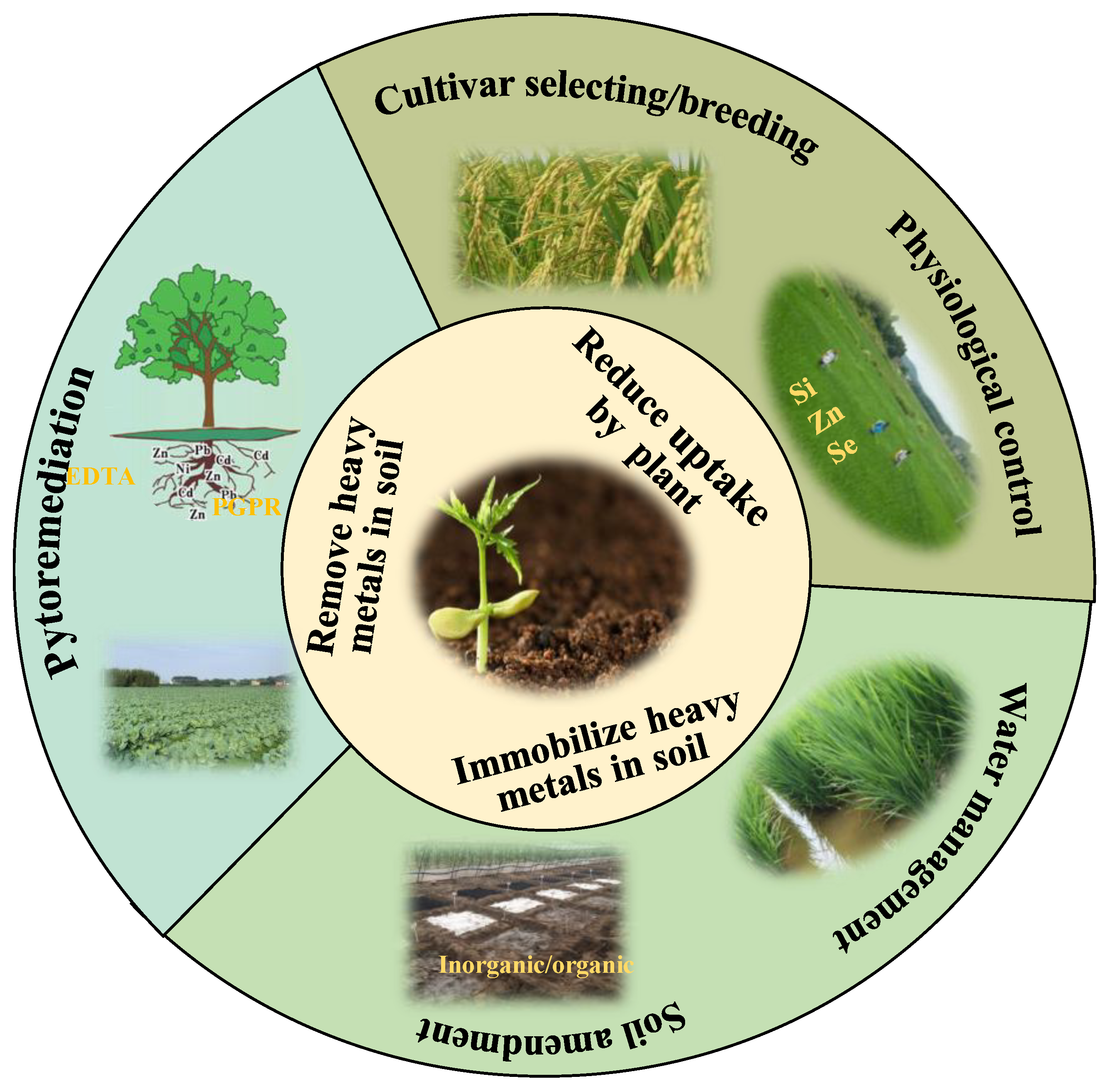 Toxics 12 00063 g003