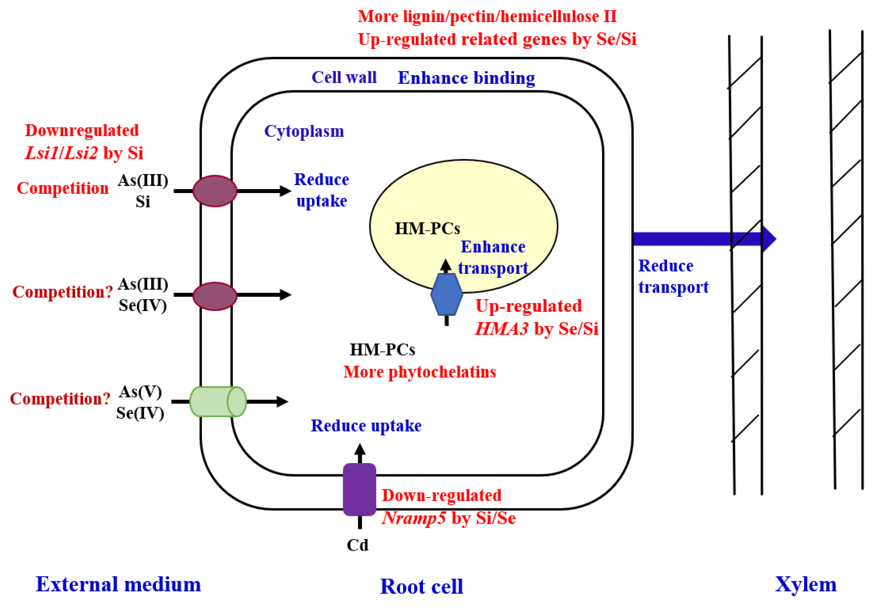 Toxics 12 00063 g004