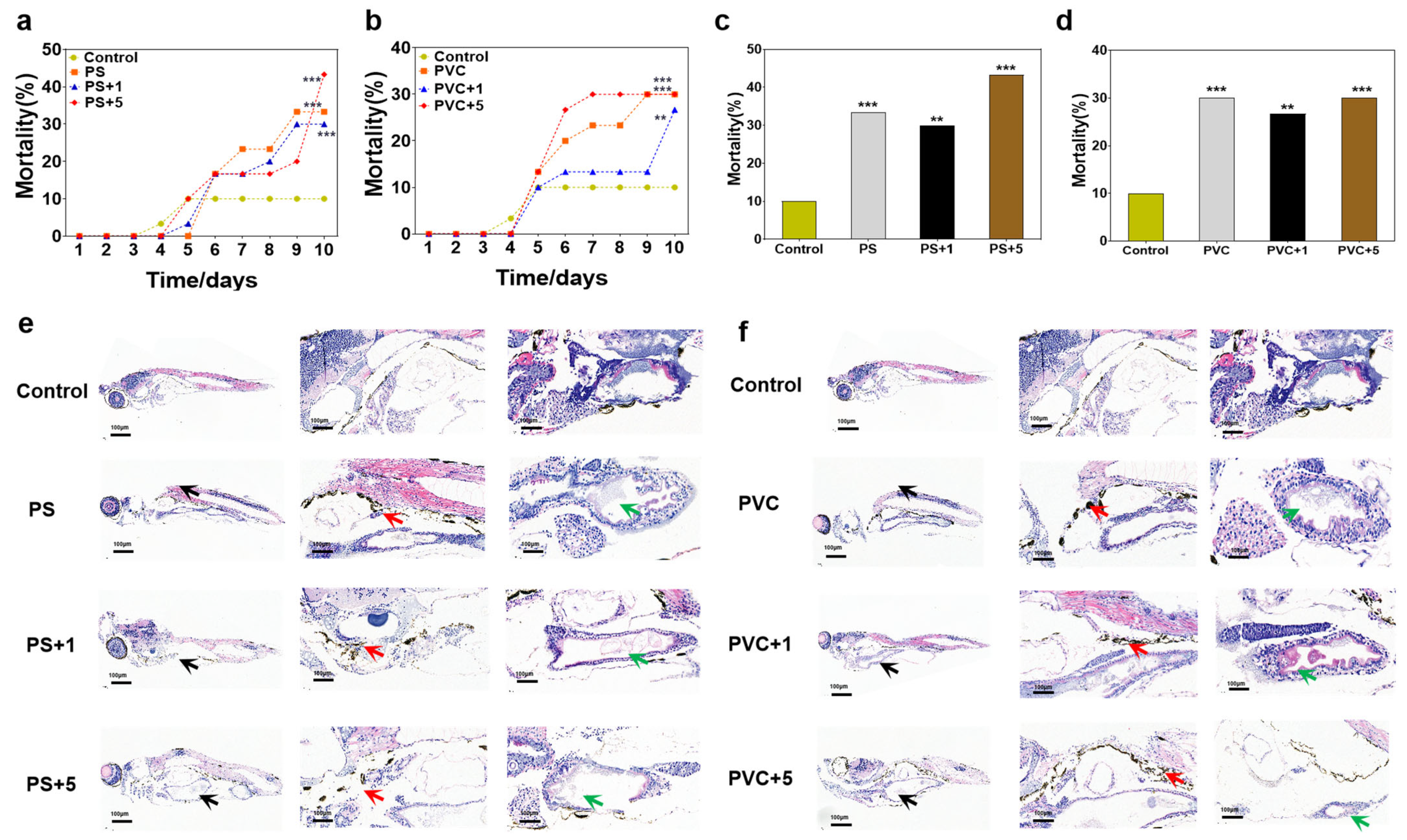 Toxics 12 00064 g001