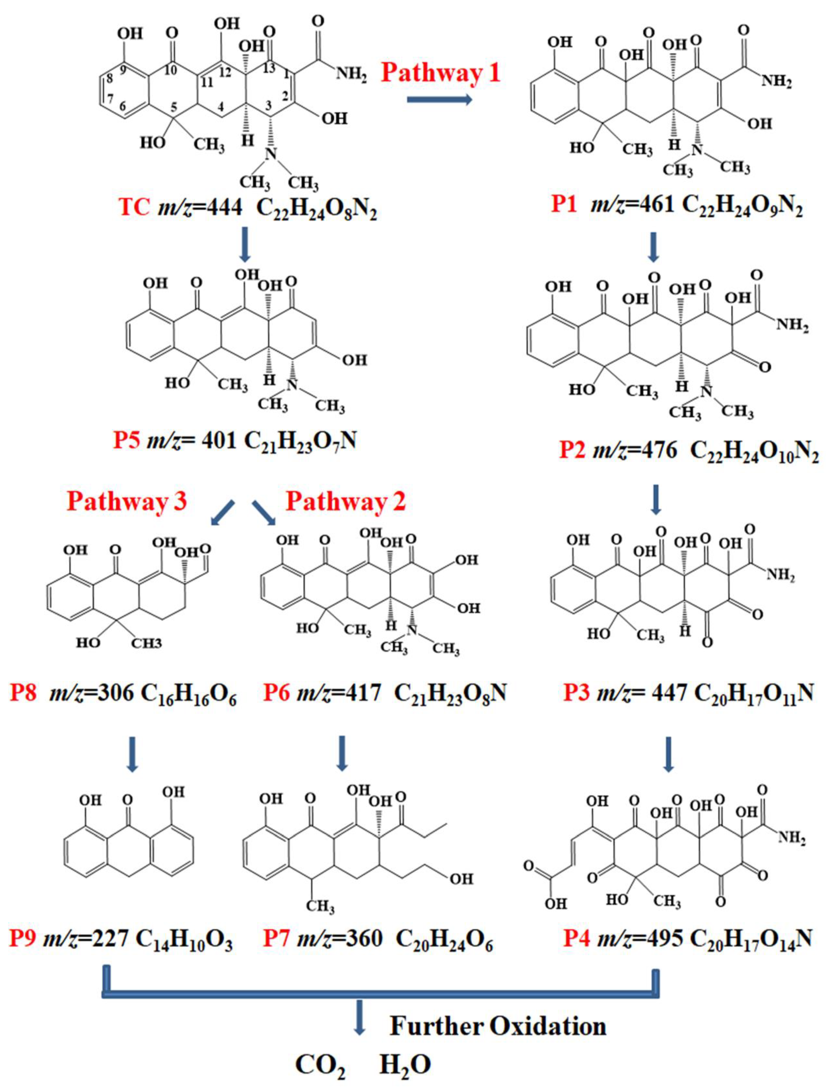 Toxics 12 00070 g007
