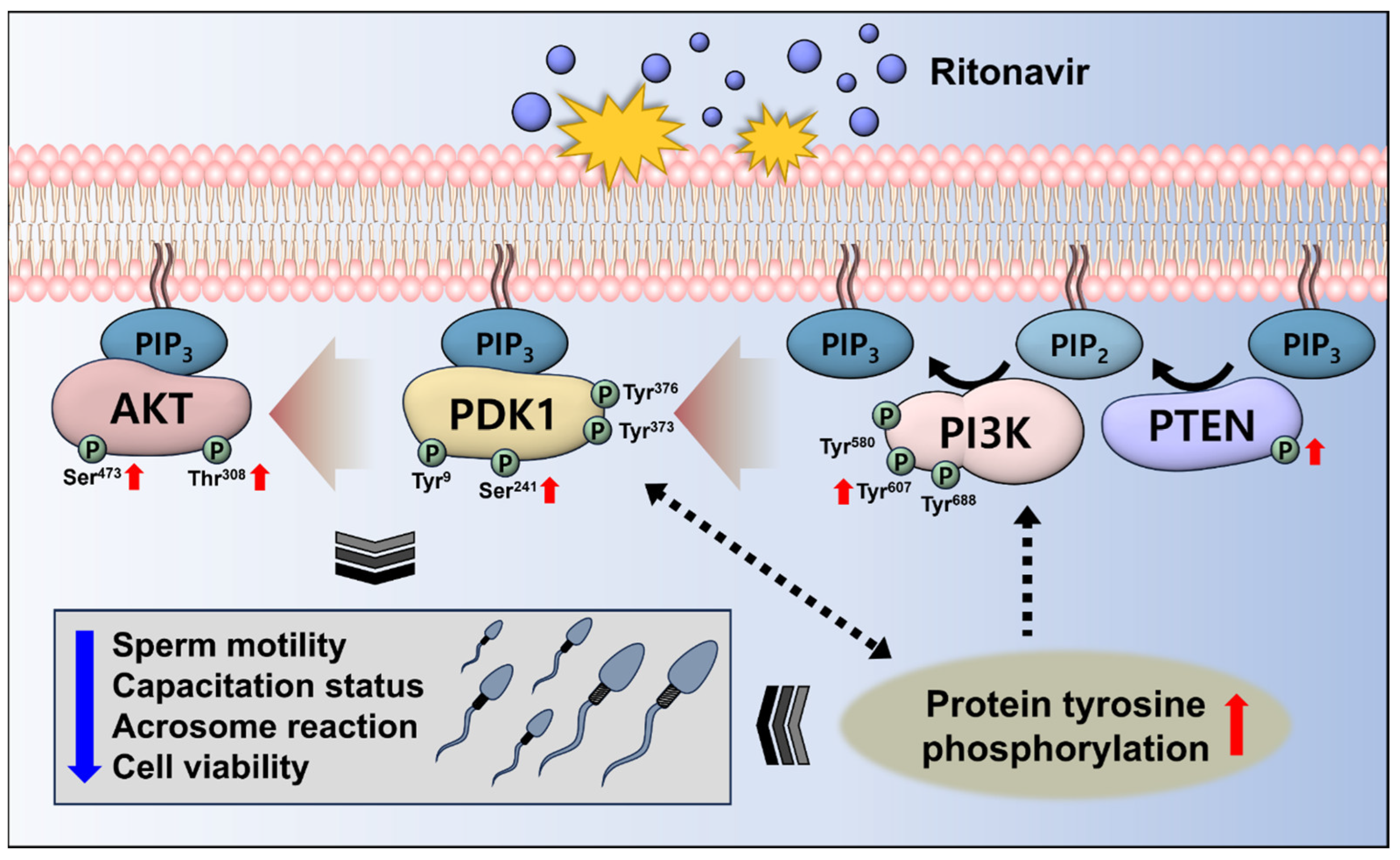 Toxics 12 00073 g004