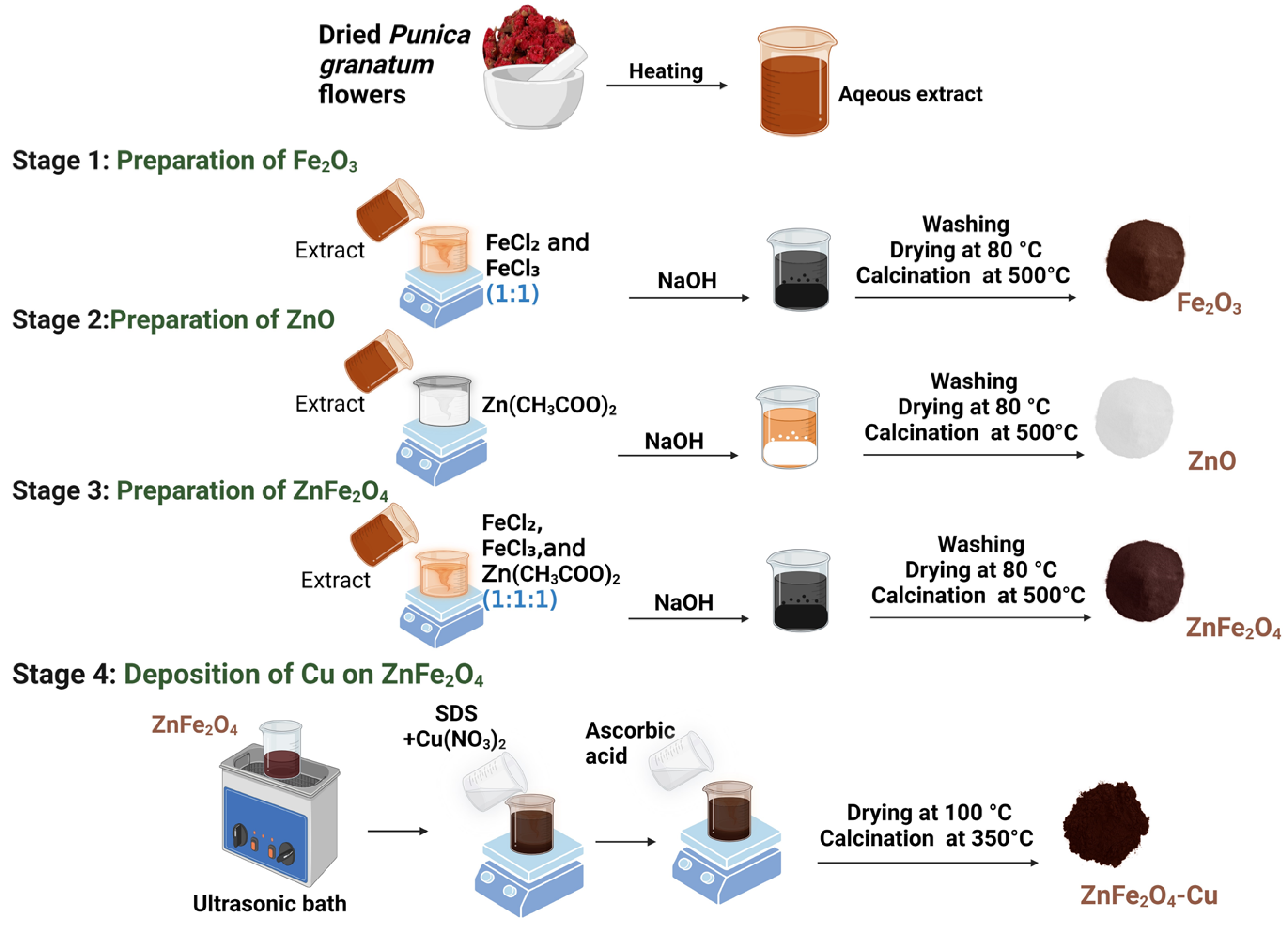 Toxics 12 00077 g001