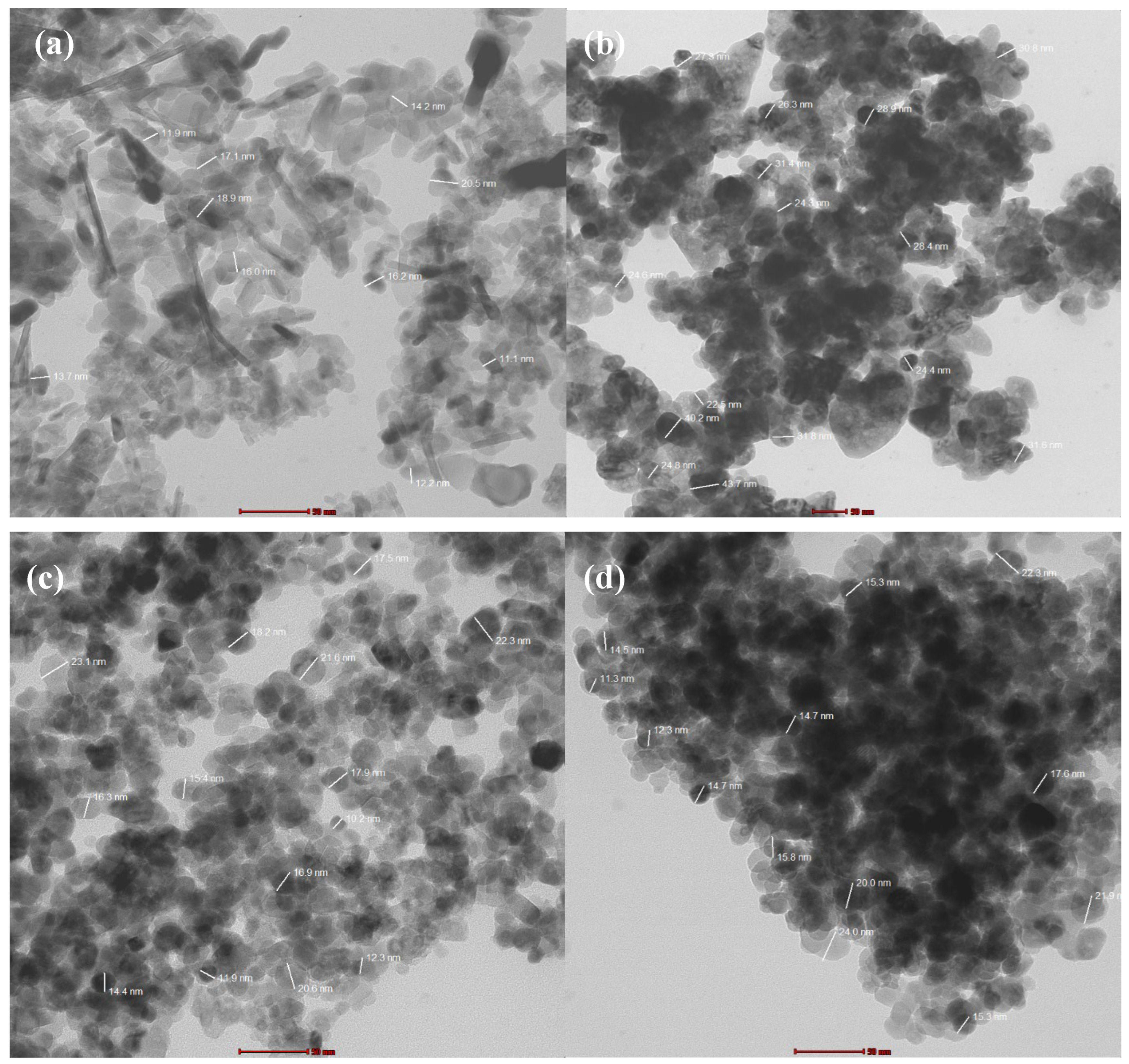 Toxics 12 00077 g008